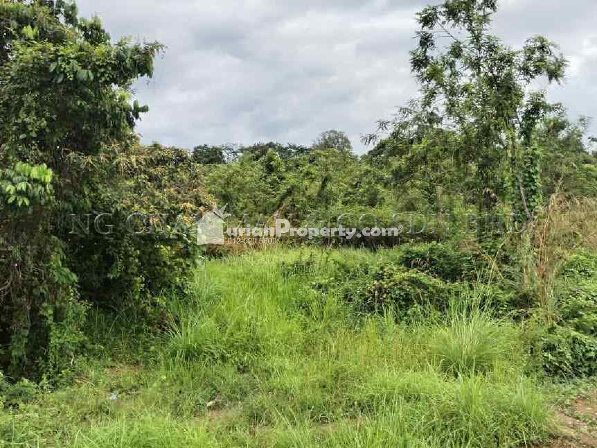 Residential Land For Auction at Machang