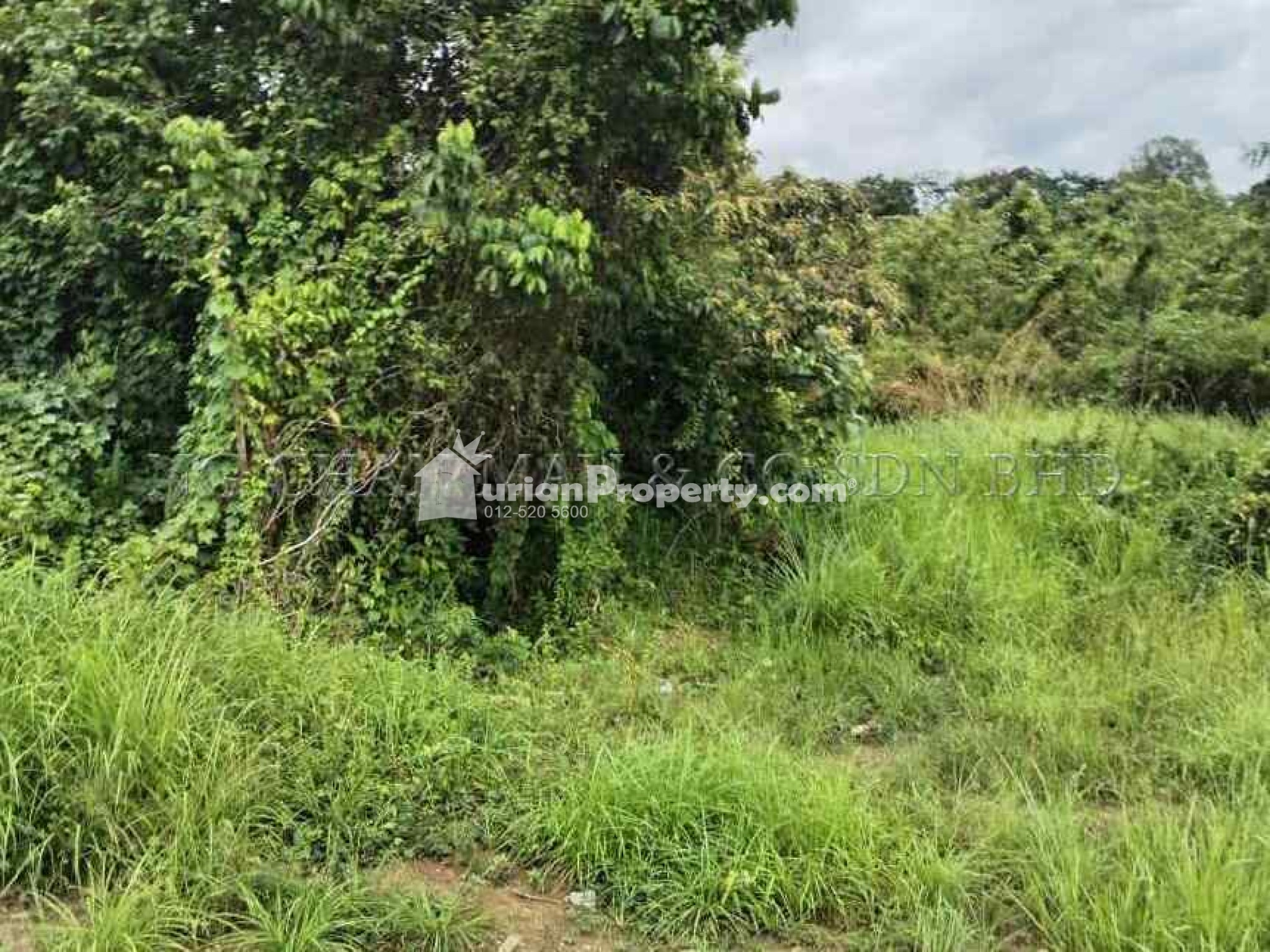 Residential Land For Auction at Machang