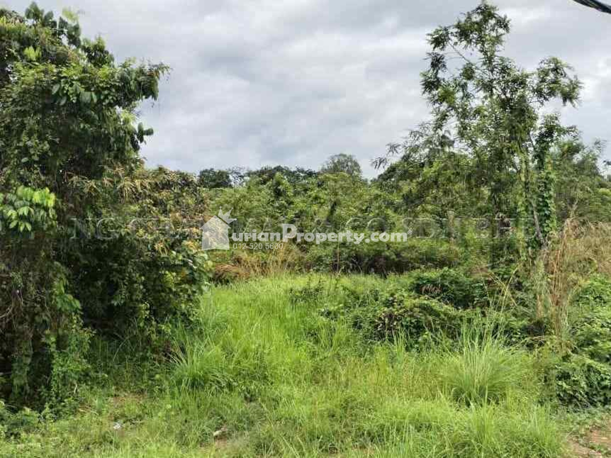 Residential Land For Auction at Machang