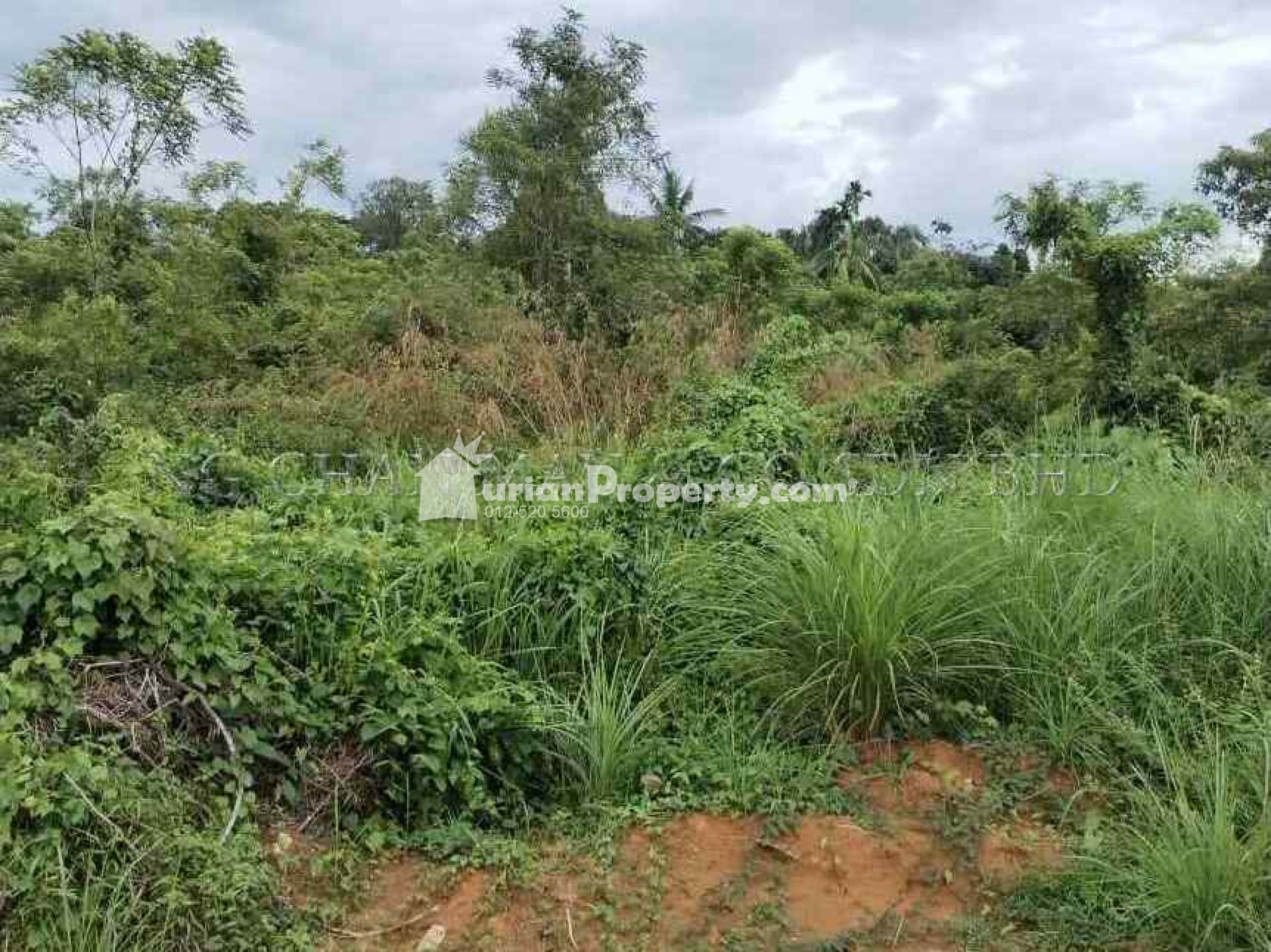 Residential Land For Auction at Machang