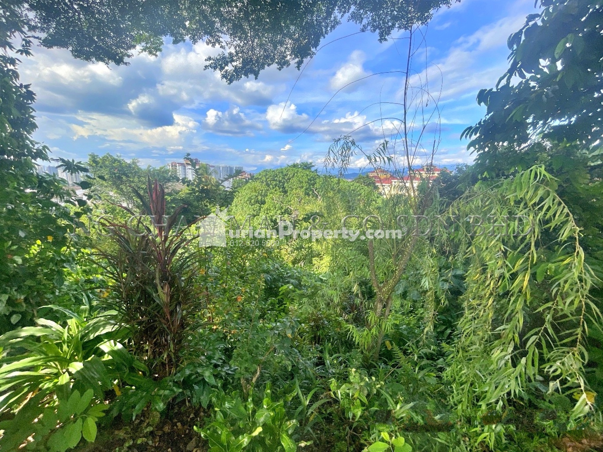 Residential Land For Auction at Taman Supreme