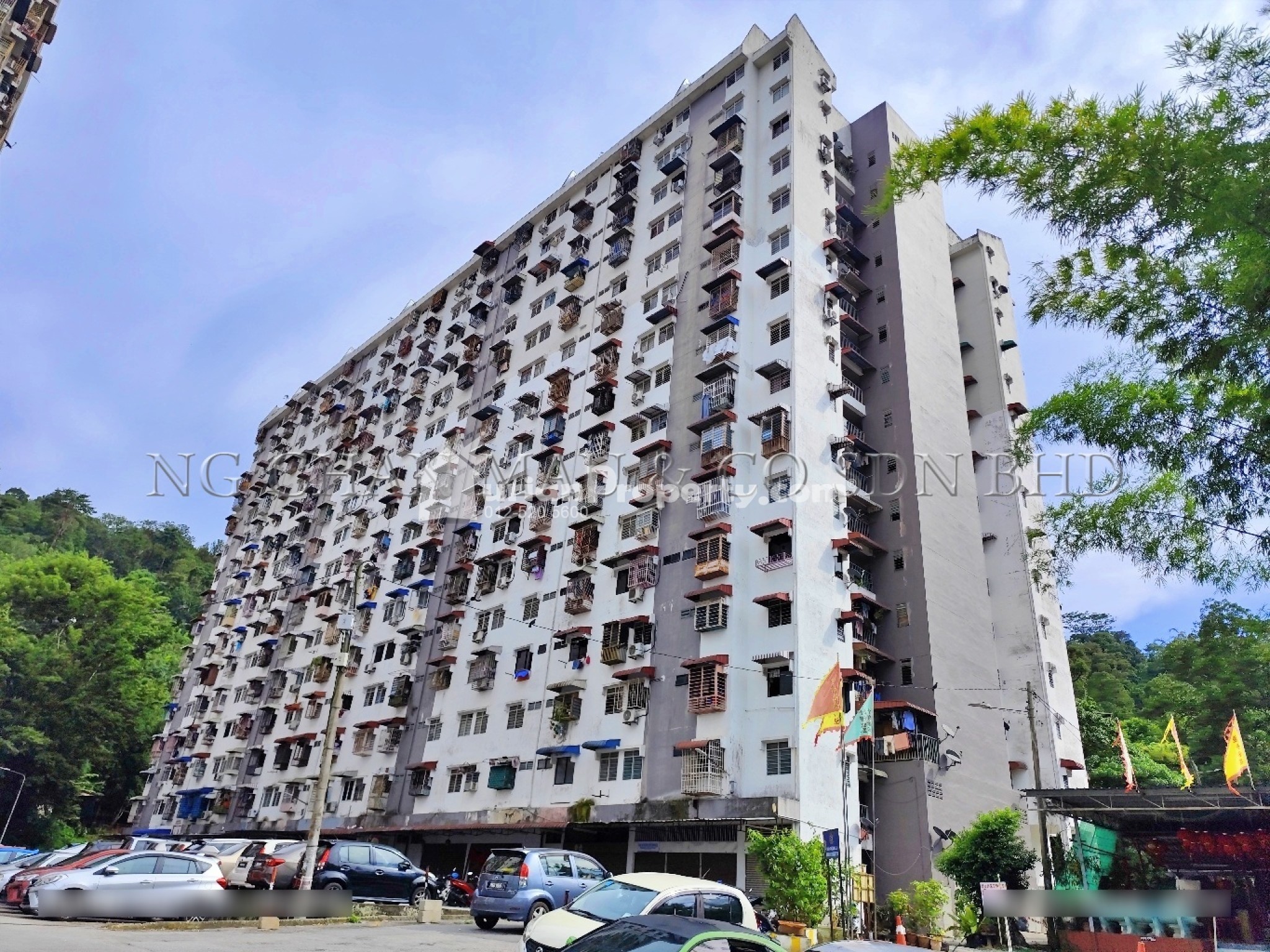 Flat For Auction at Asia Heights