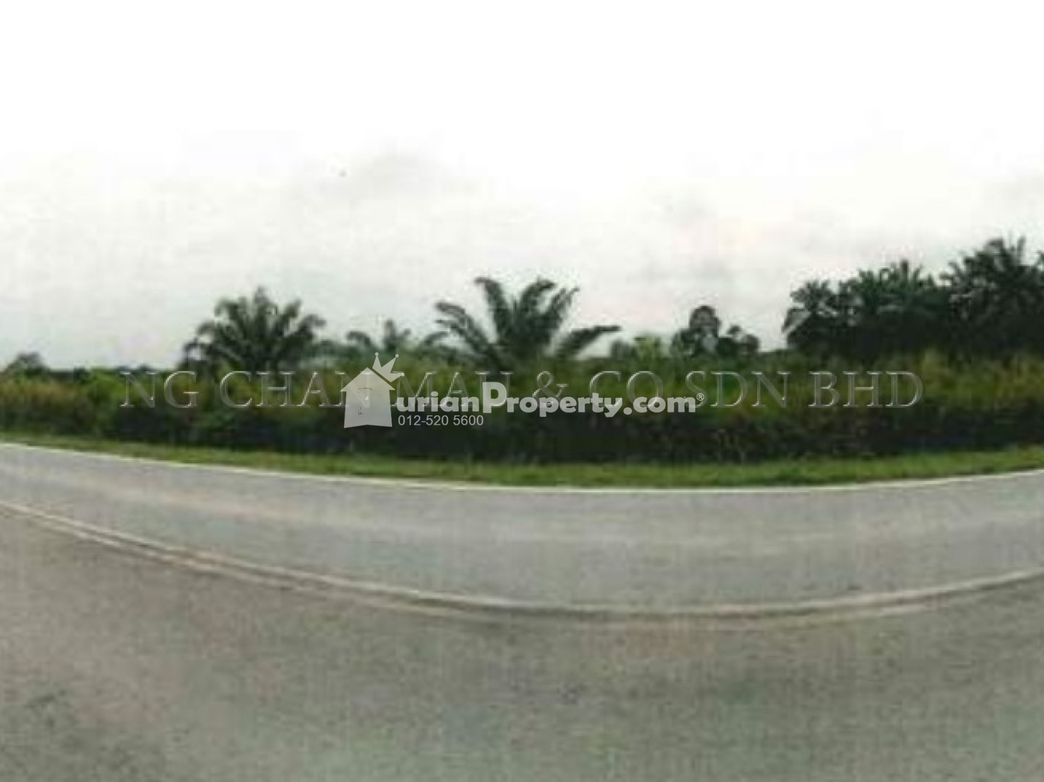 Agriculture Land For Auction at Kluang