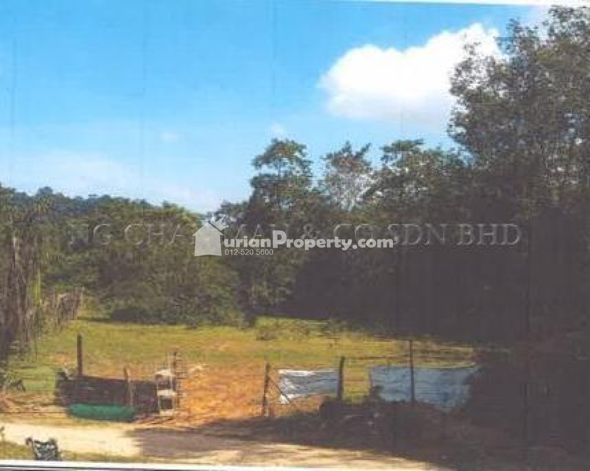 Residential Land For Auction at Kok Lanas