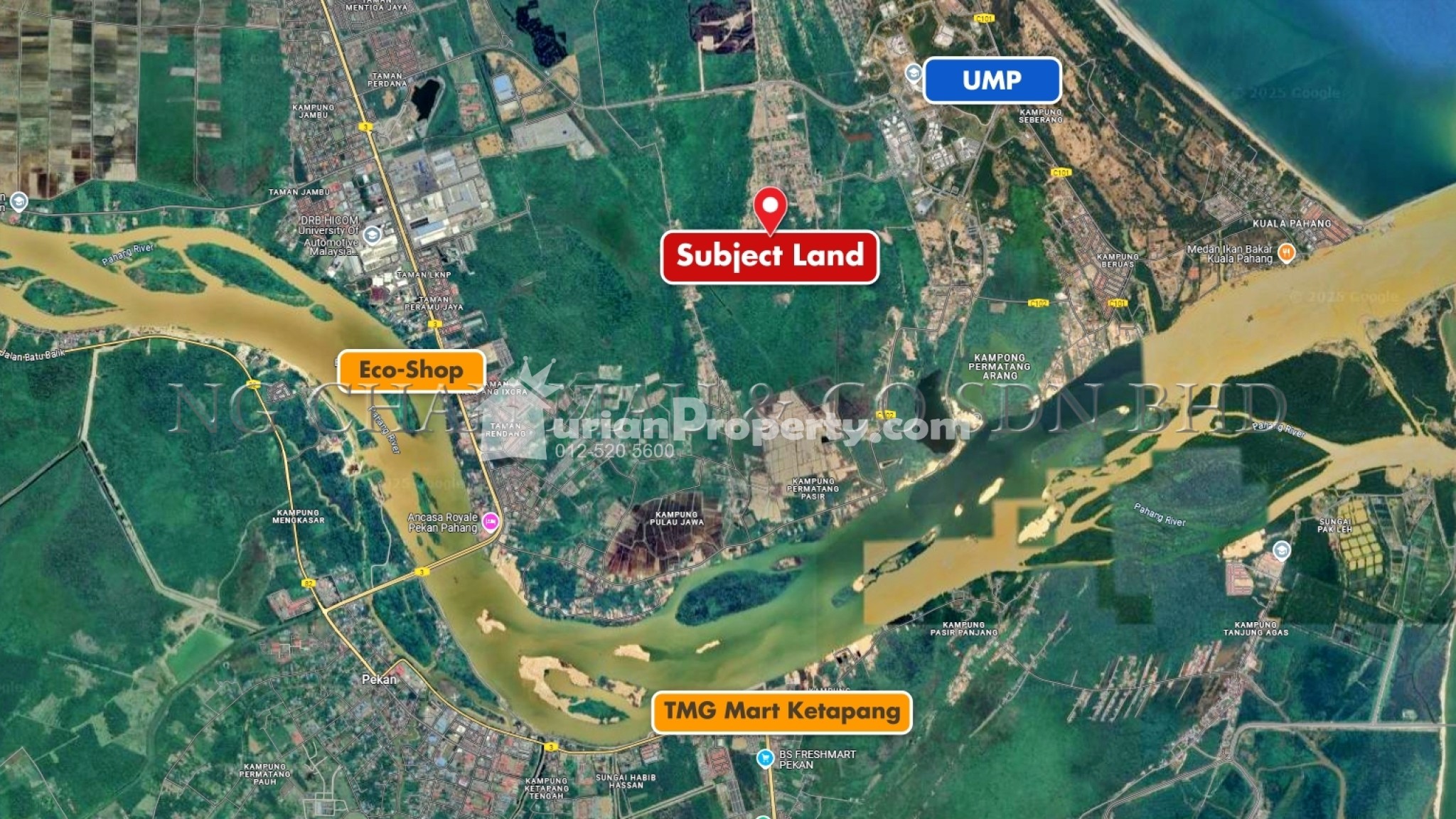 Residential Land For Auction at Pekan