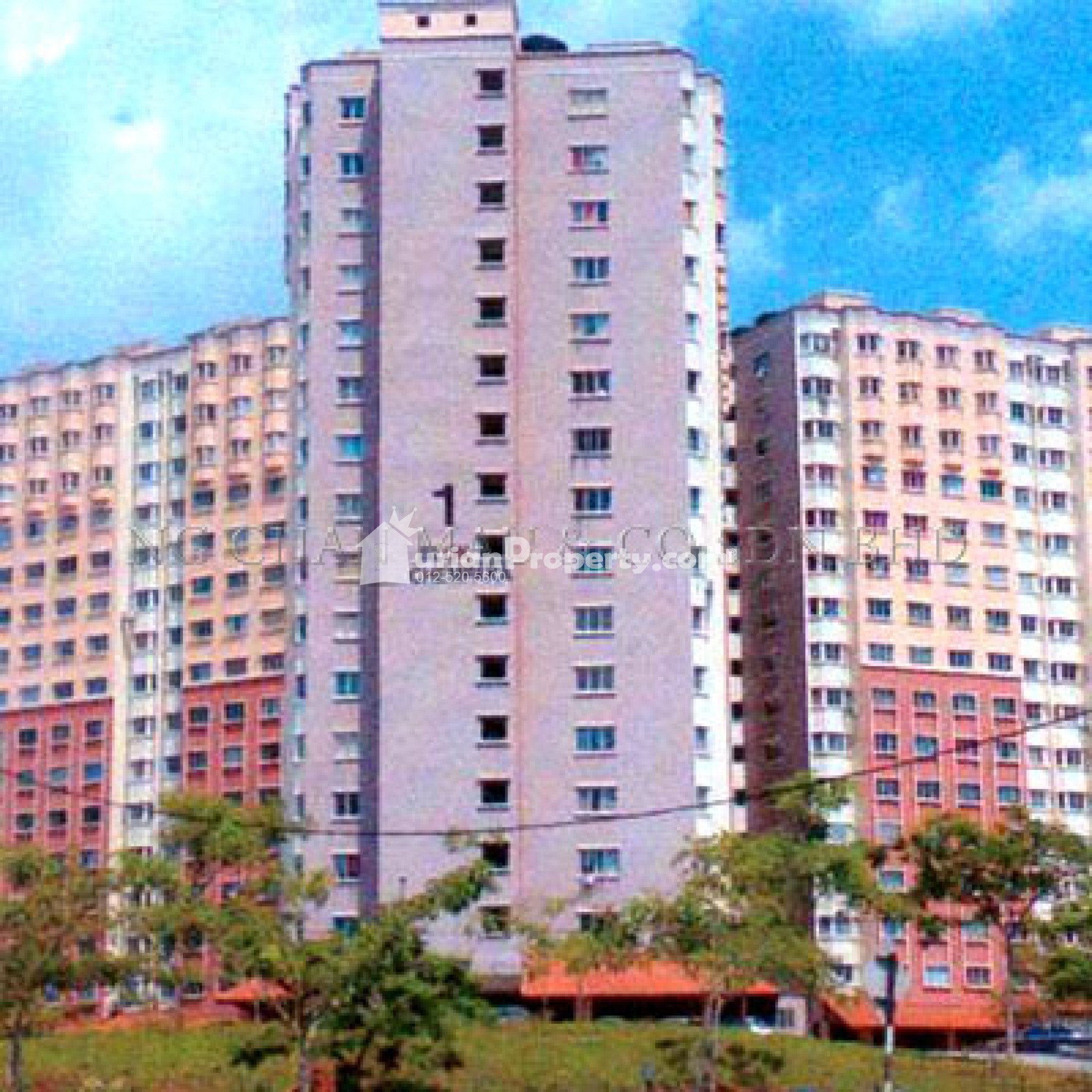 Apartment For Auction at Desaminium Flora