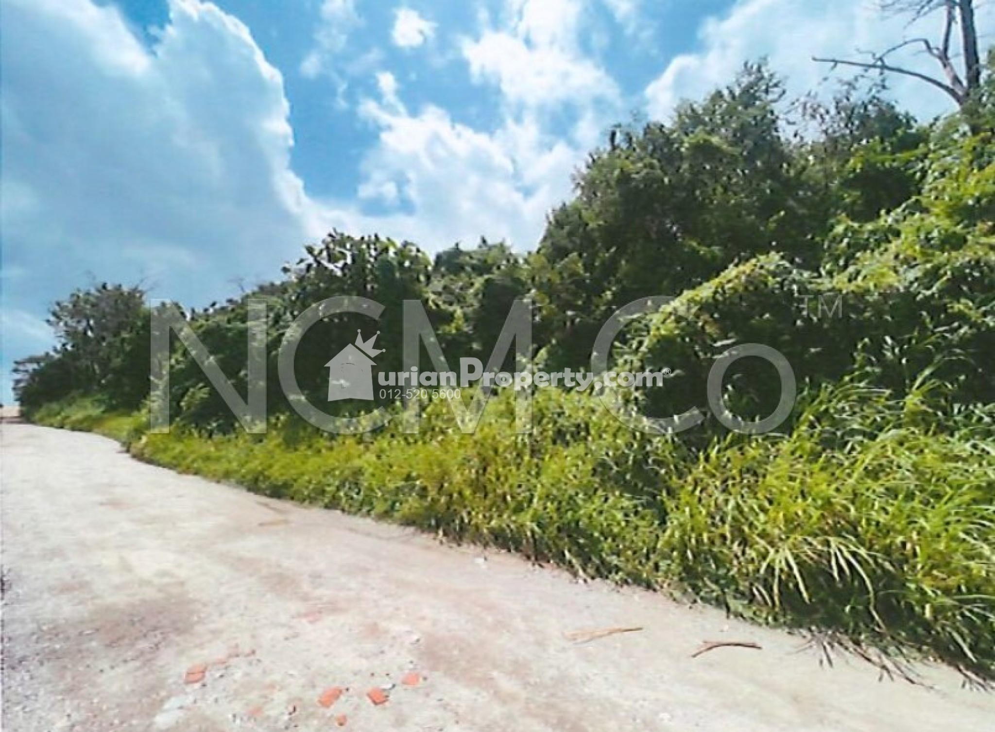 Agriculture Land For Auction at Kempas Baru