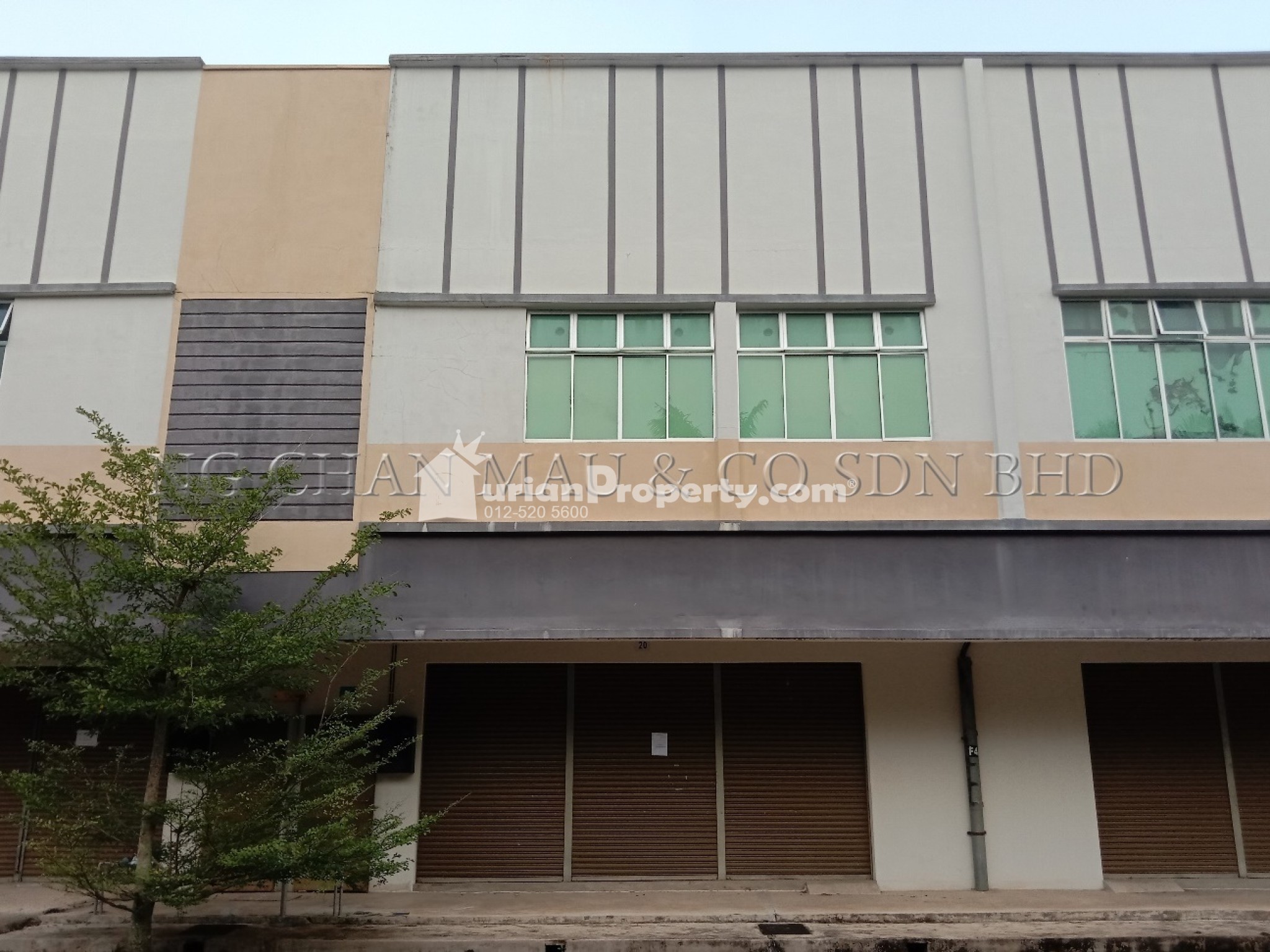 Shop Office For Auction at Maran