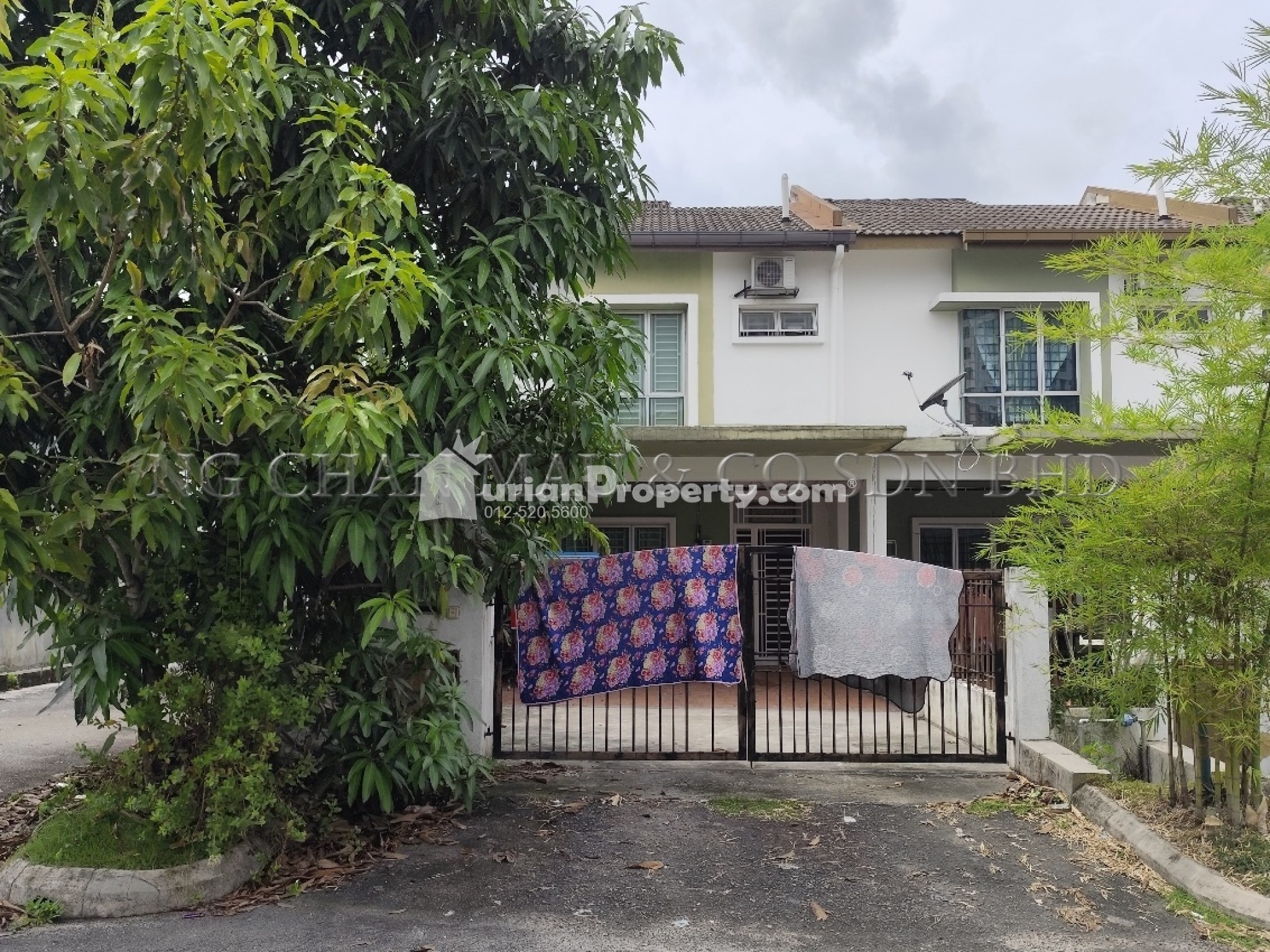 Terrace House For Auction at Hill Park