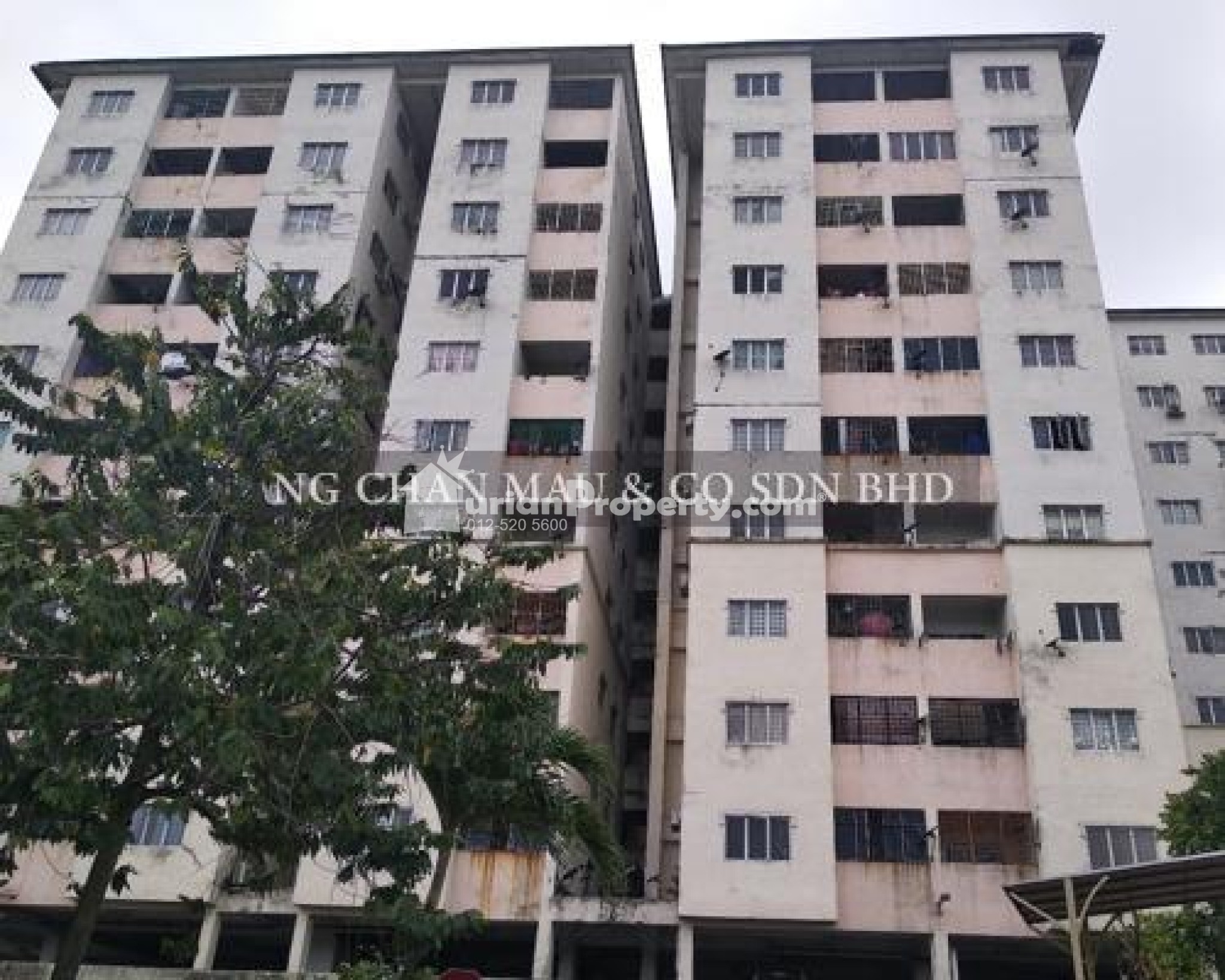 Apartment For Auction at Intan Apartment