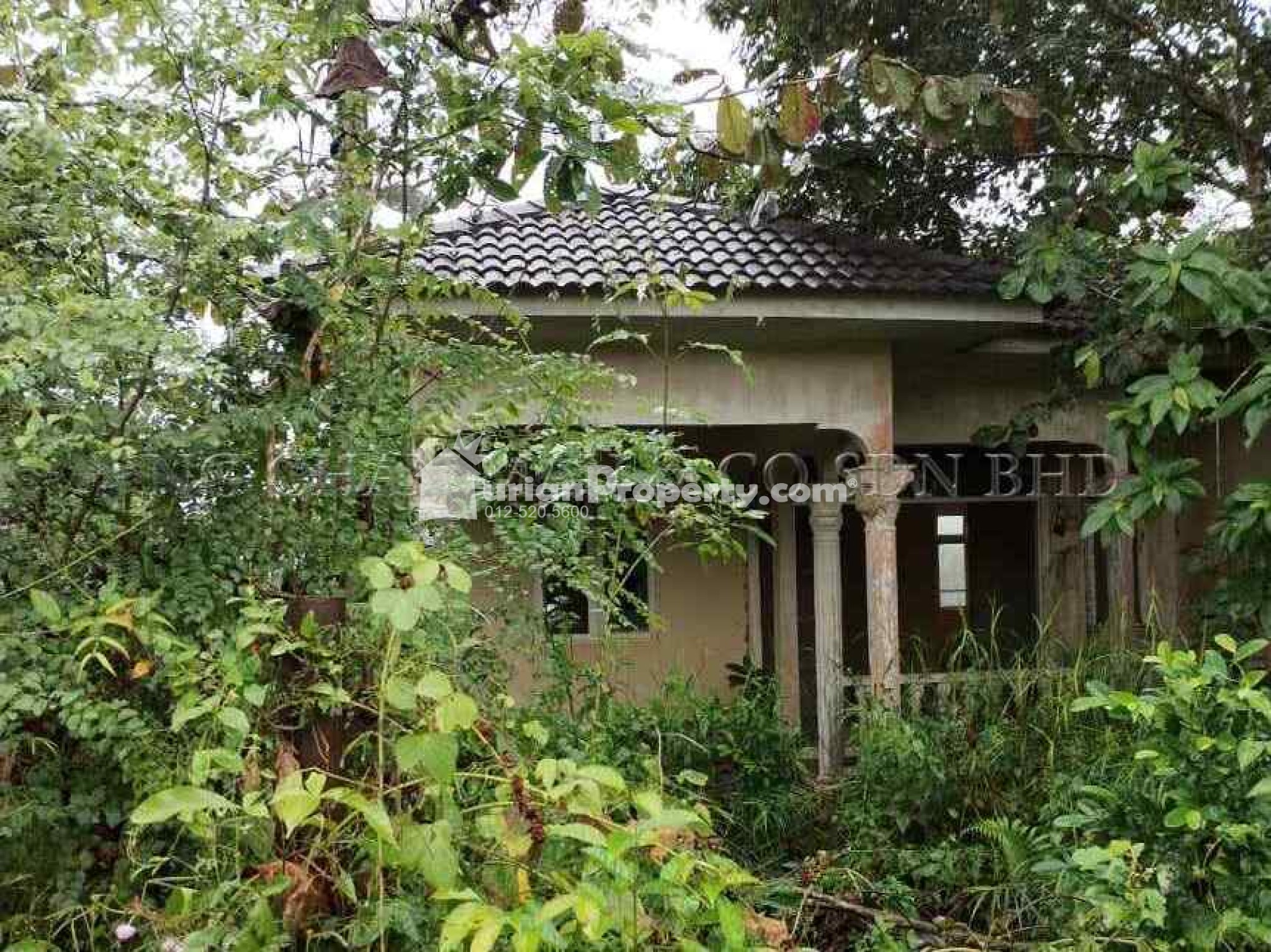 Bungalow House For Auction at Machang