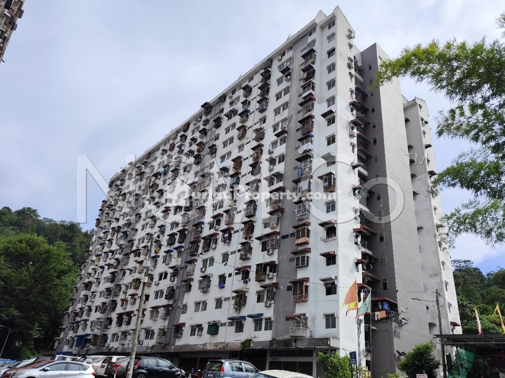 Flat For Auction at Asia Heights