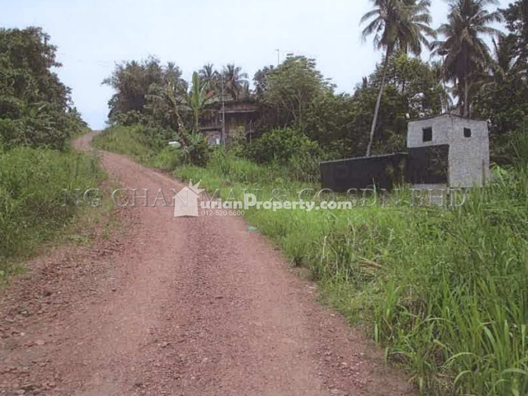 Agriculture Land For Auction at Pitas