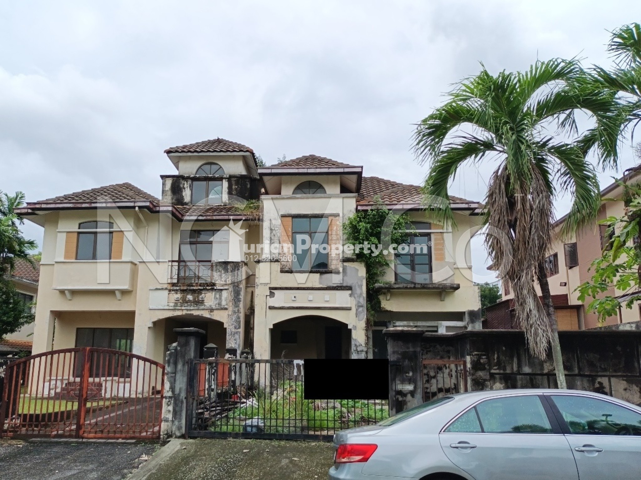 Semi D For Auction at Anggerik Oncidium