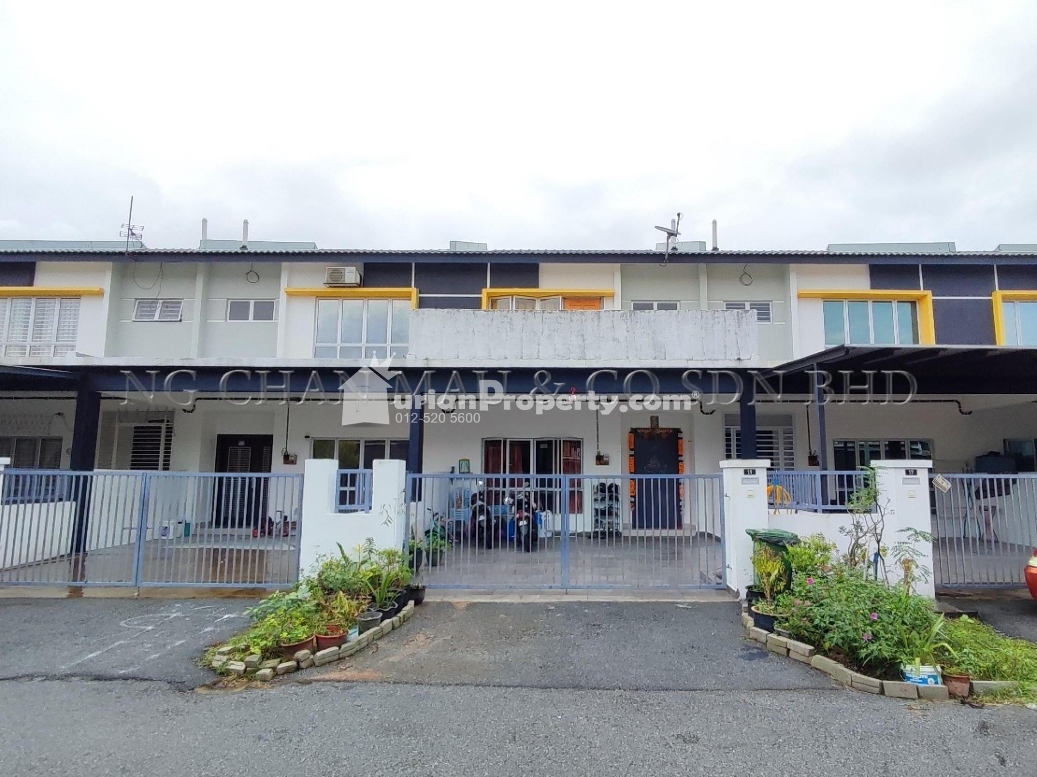 Terrace House For Auction at Alamanda Parklands