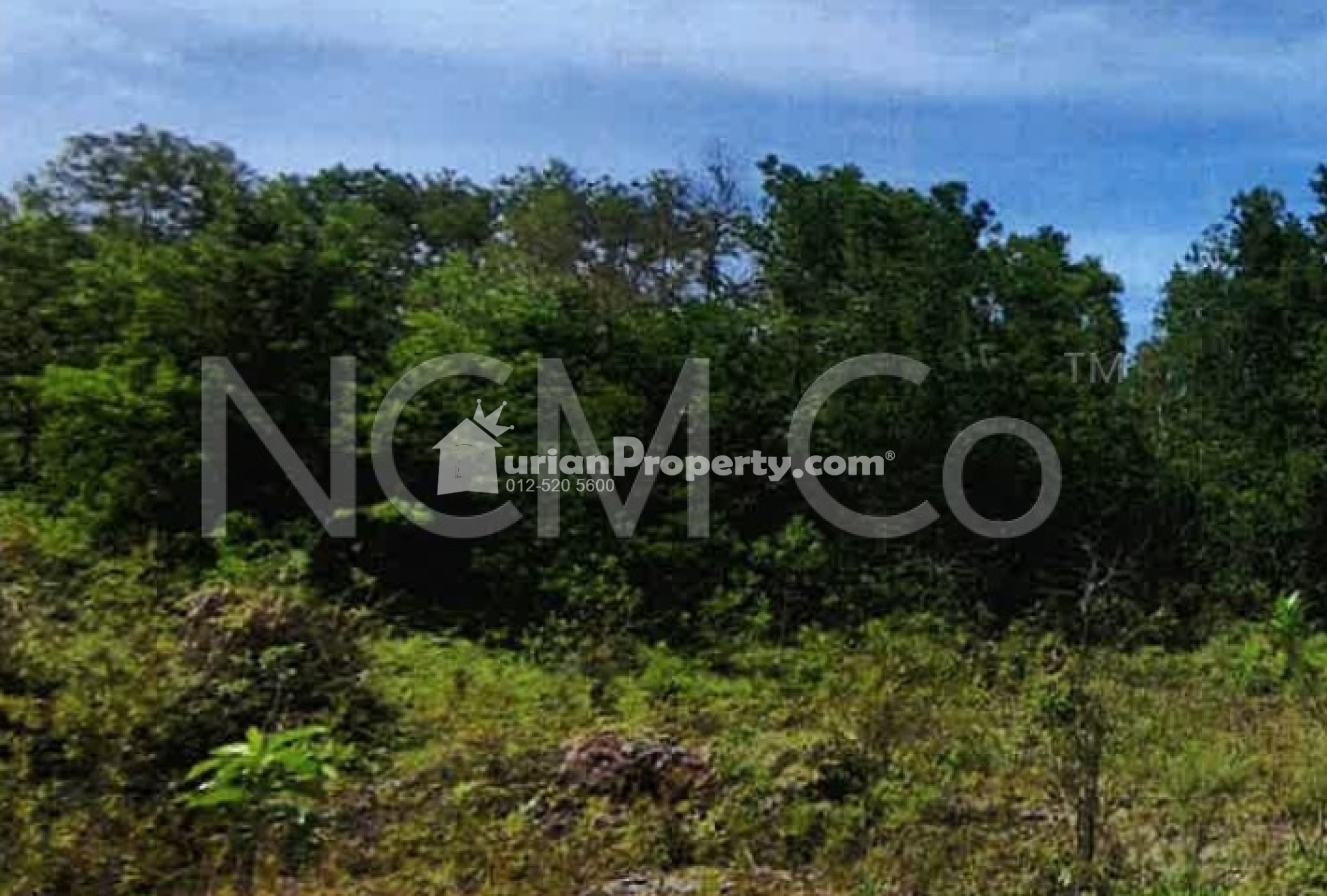 Residential Land For Auction at Kemaman