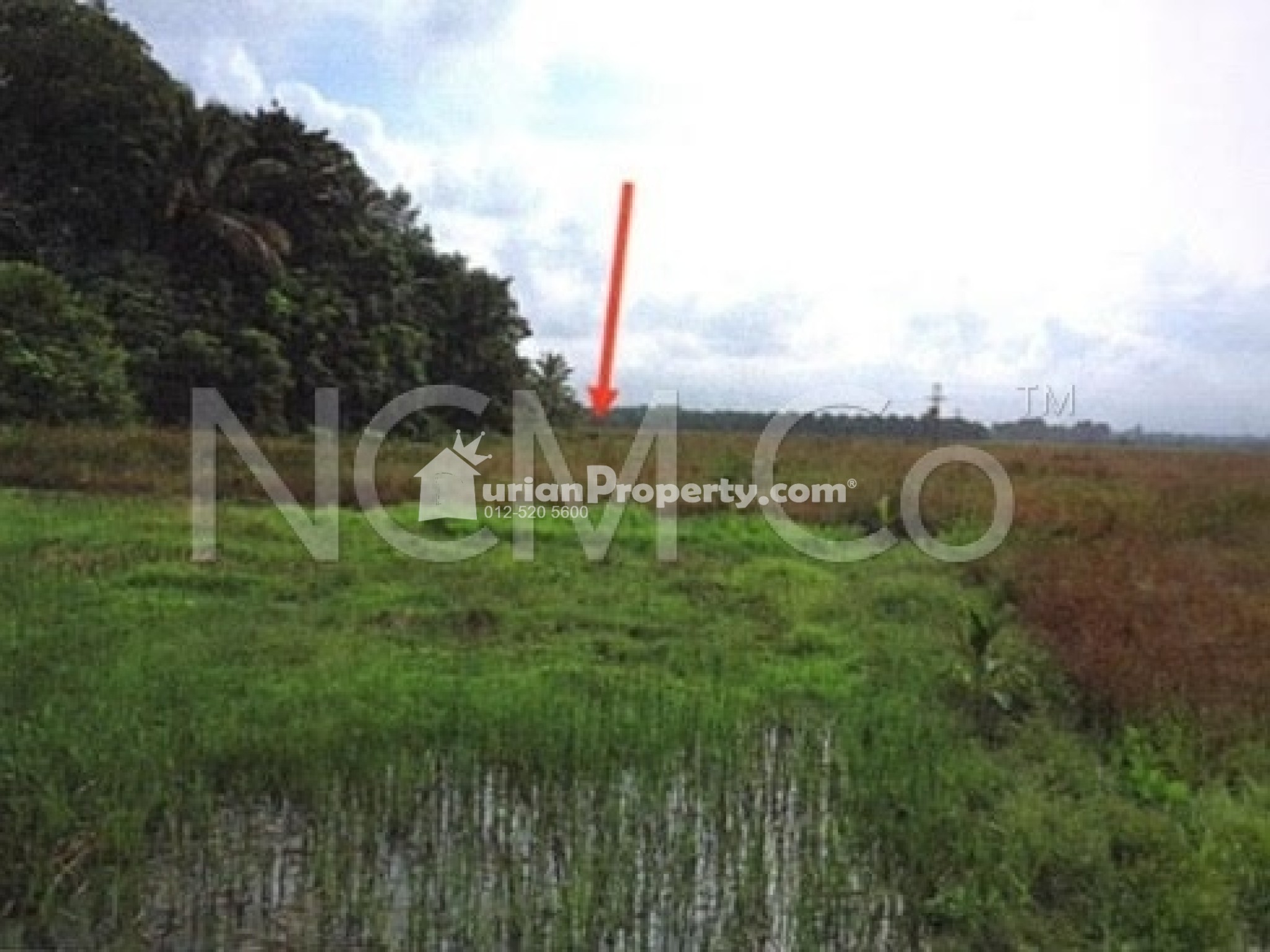 Residential Land For Auction at Pasir Puteh