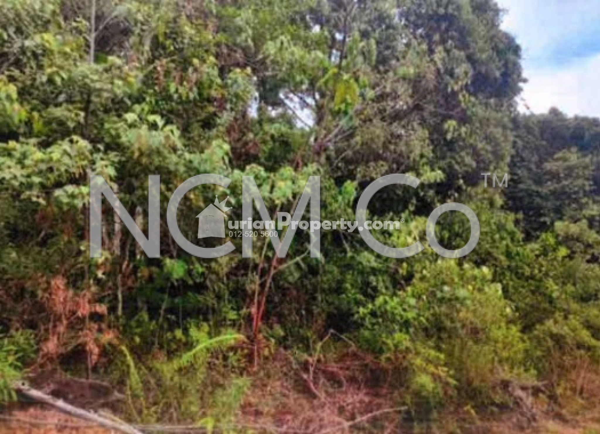 Residential Land For Auction at Gambang