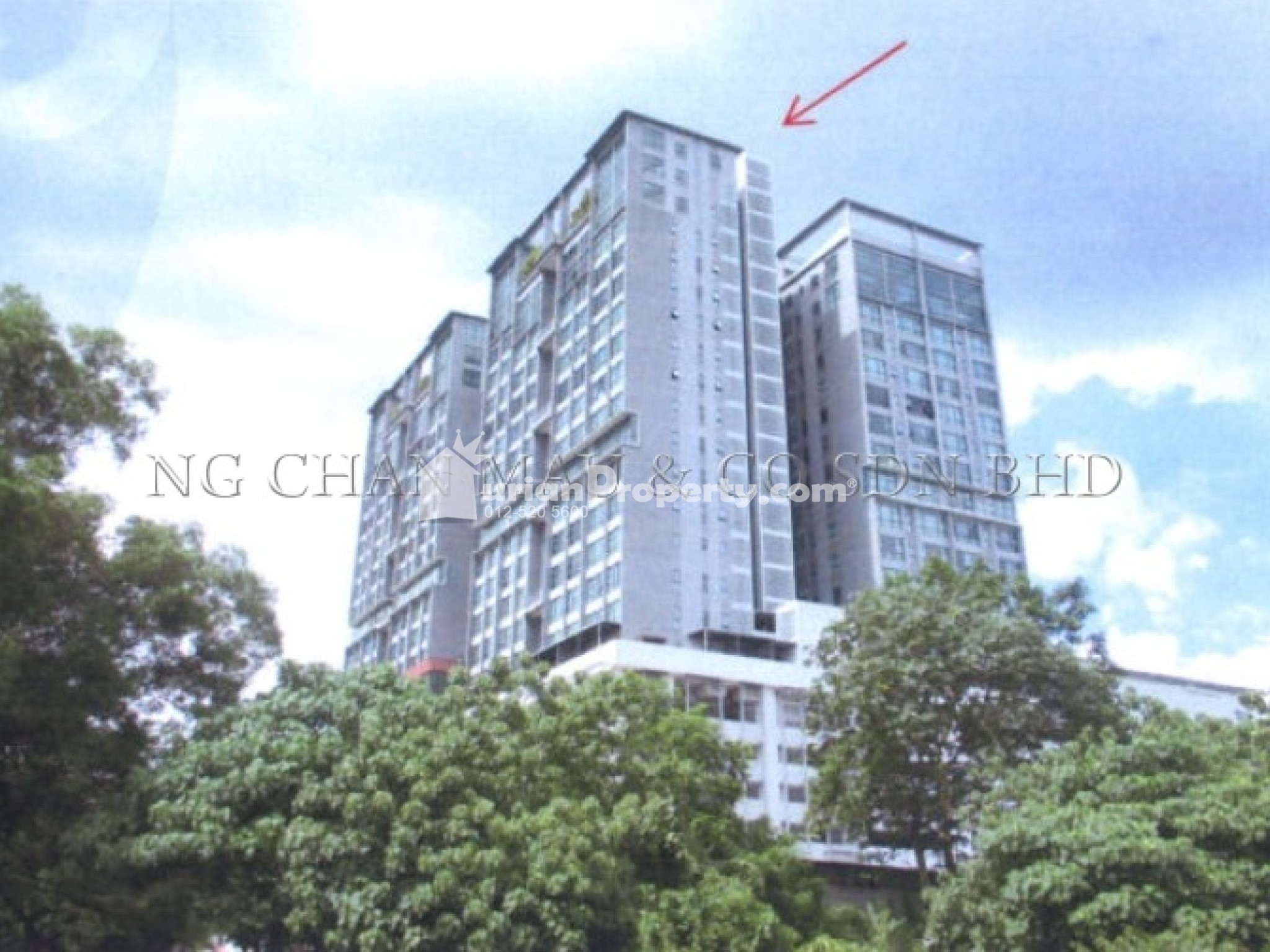 Serviced Residence For Auction at Amanja