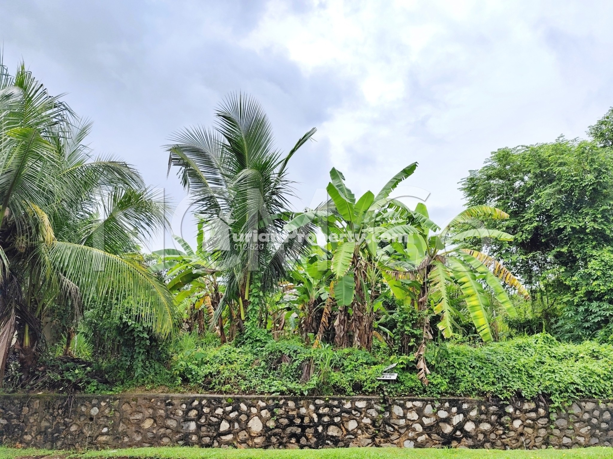 Residential Land For Auction at Kota Seriemas