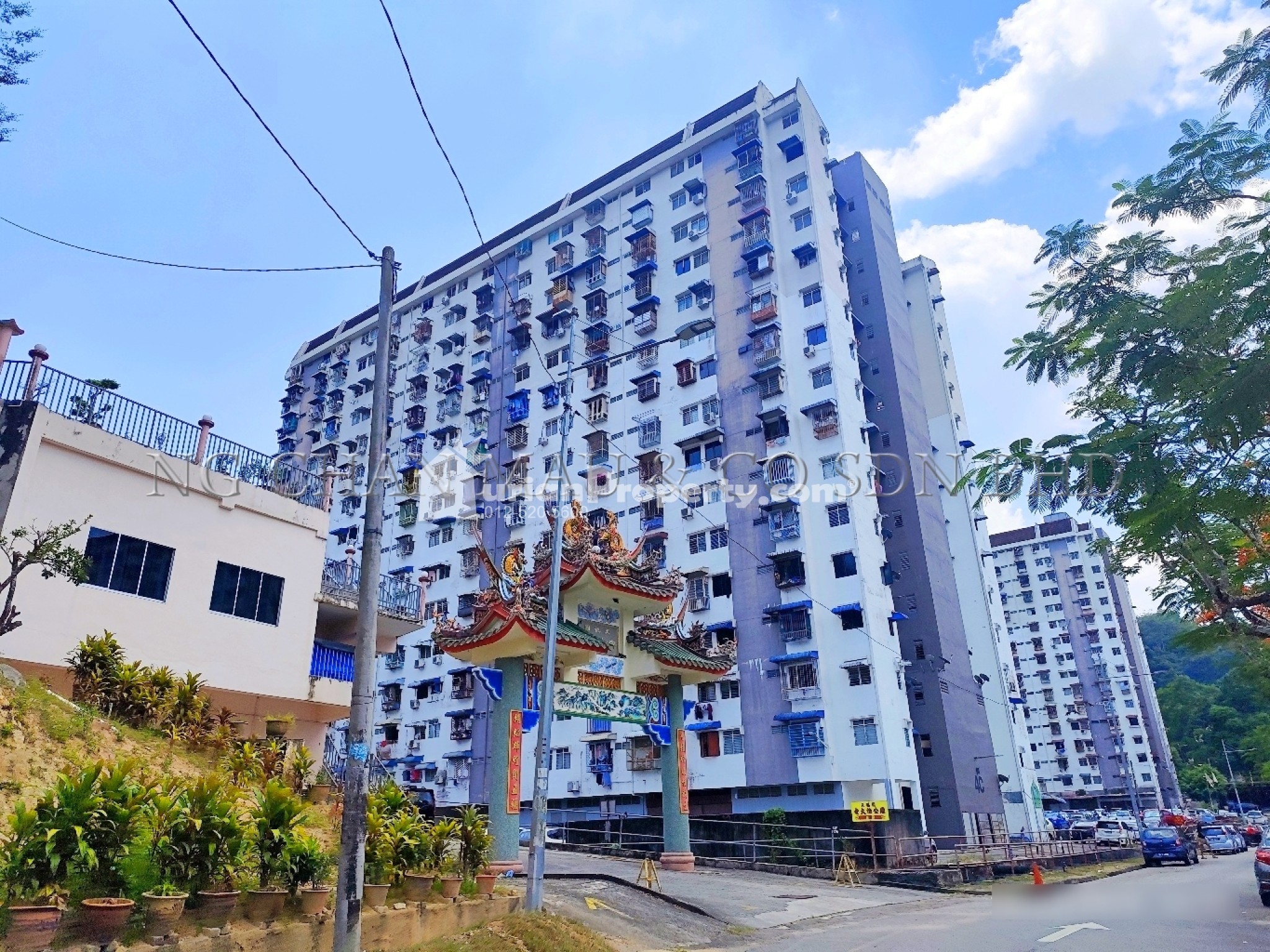 Flat For Auction at Asia Heights