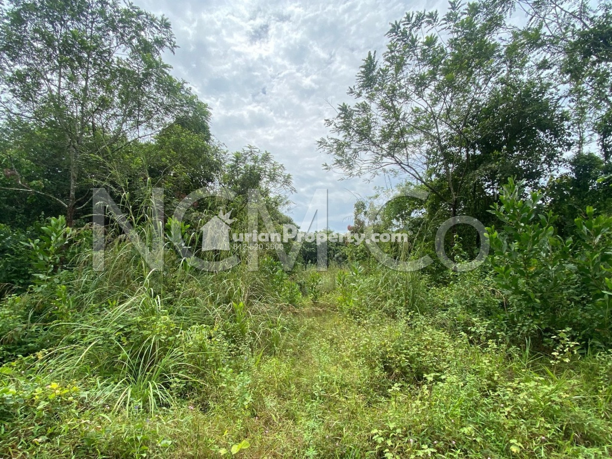 Residential Land For Auction at Machang