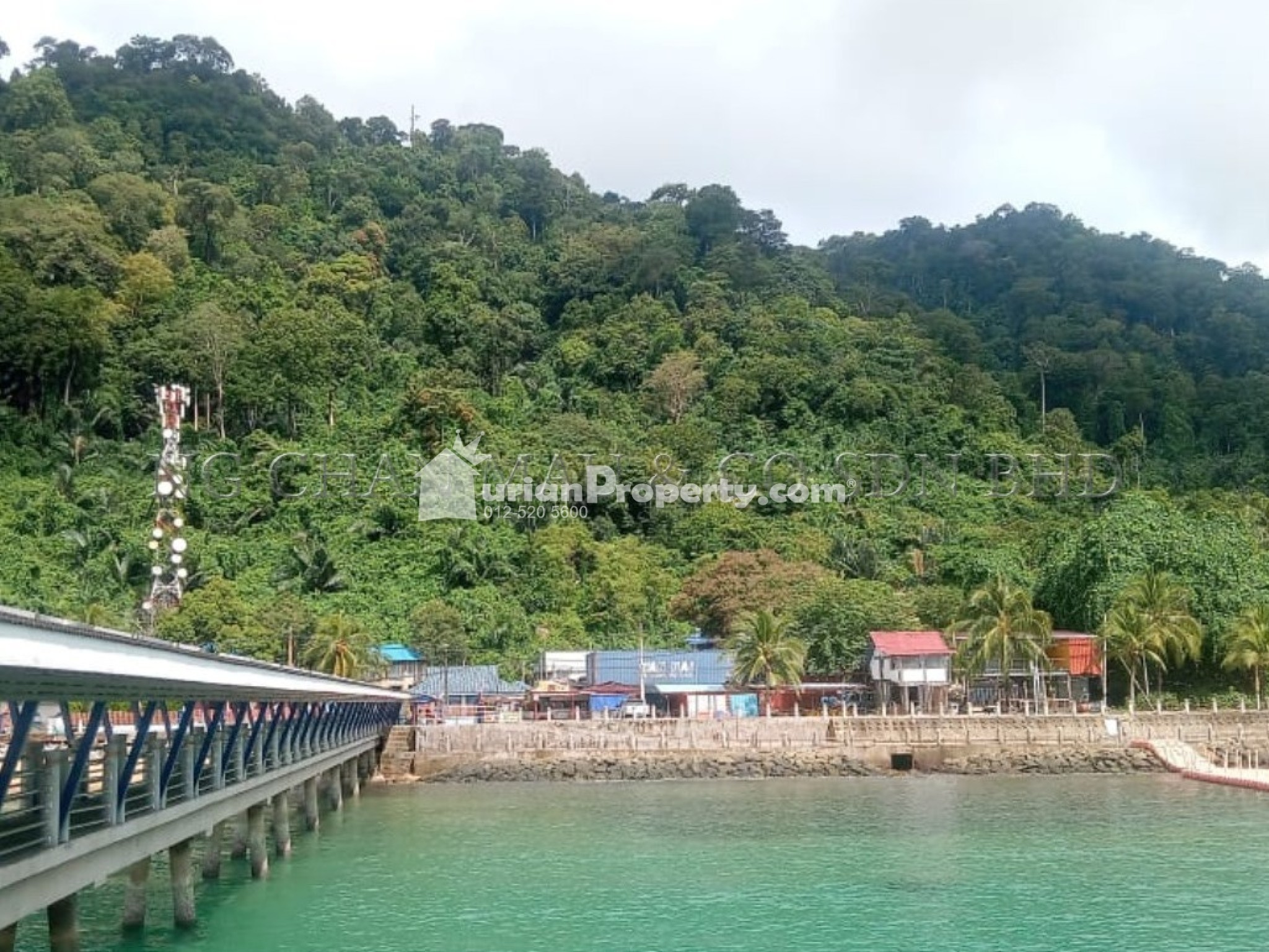 Agriculture Land For Auction at Pulau Tioman