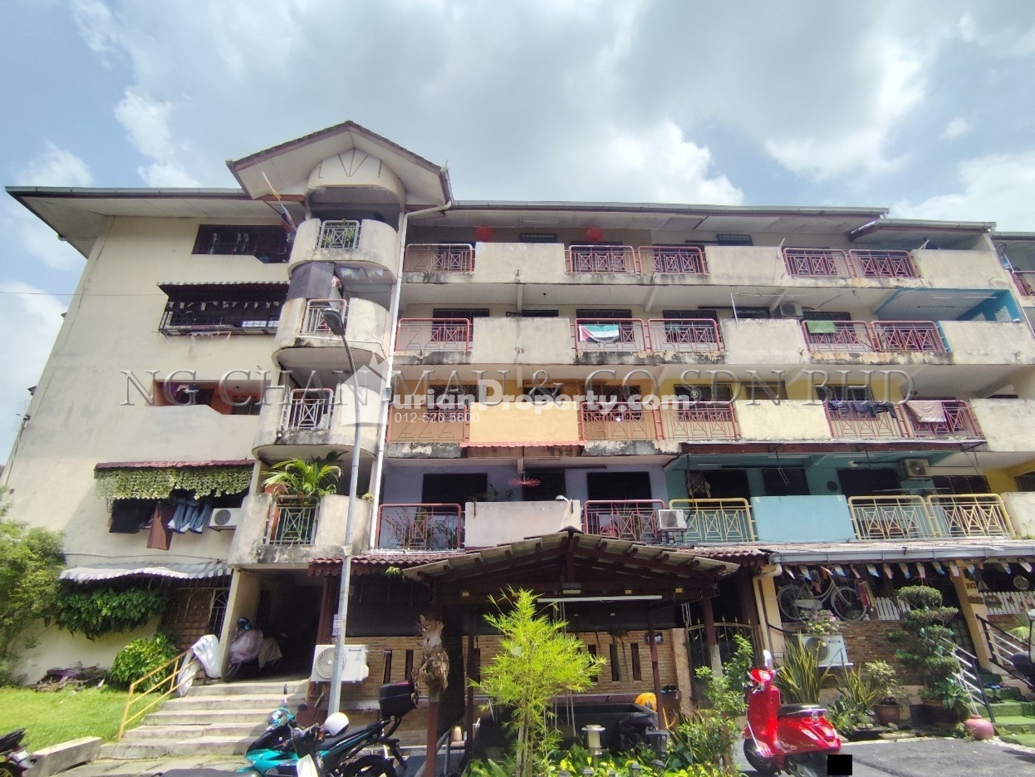 Apartment For Auction at Lily & Rose Apartment