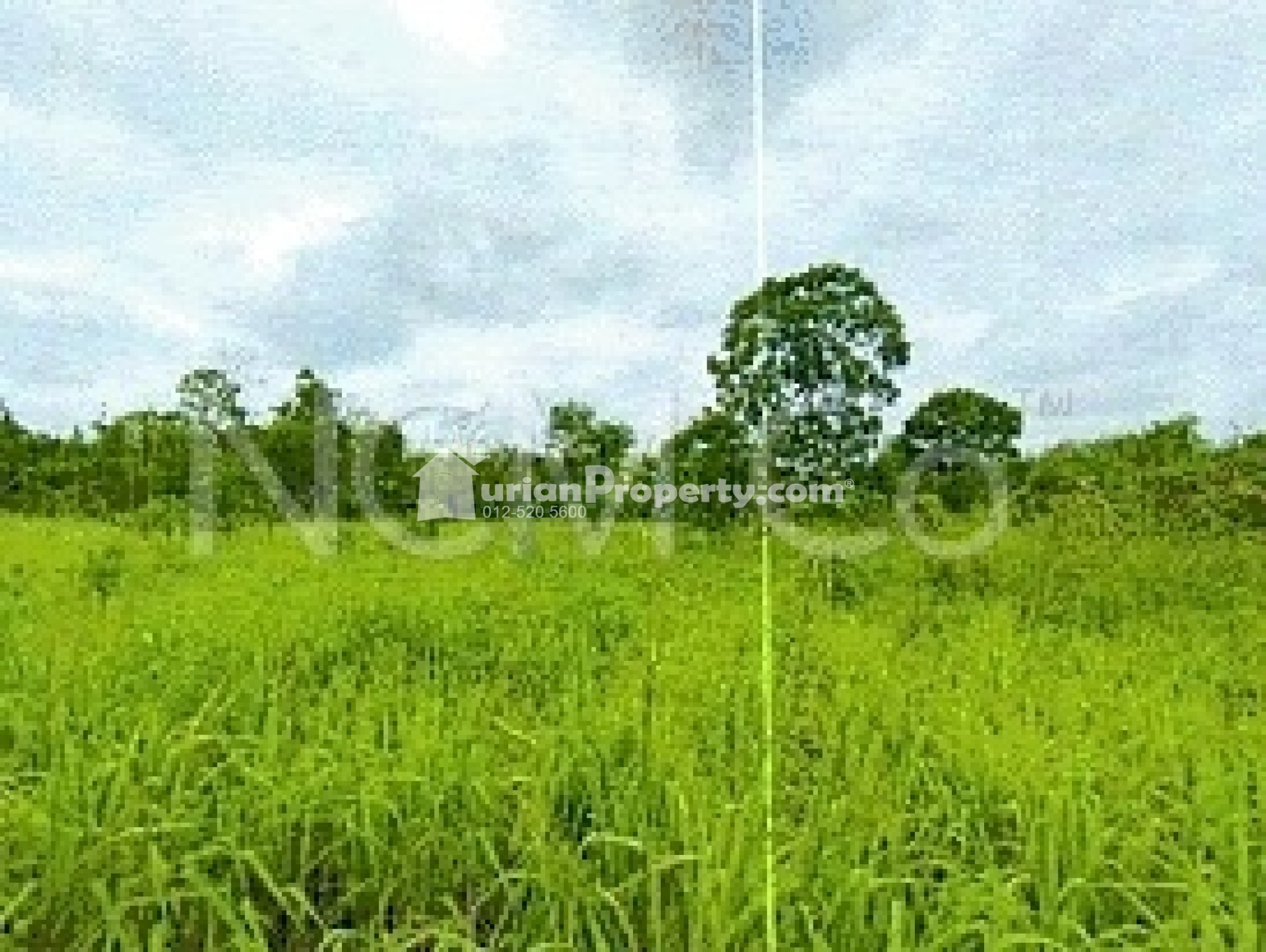 Agriculture Land For Auction at Segamat