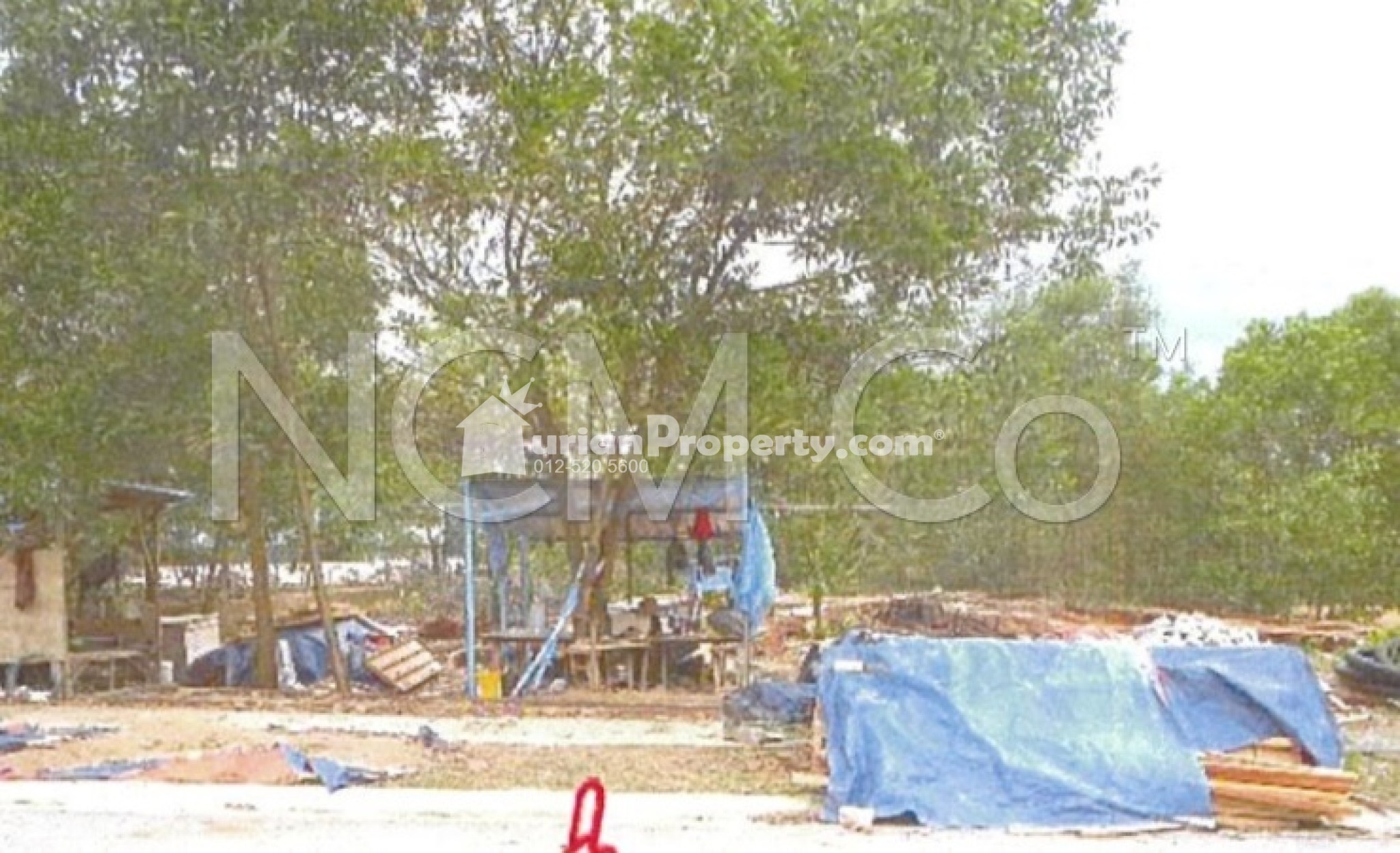 Terrace House For Auction at Green Street Homes