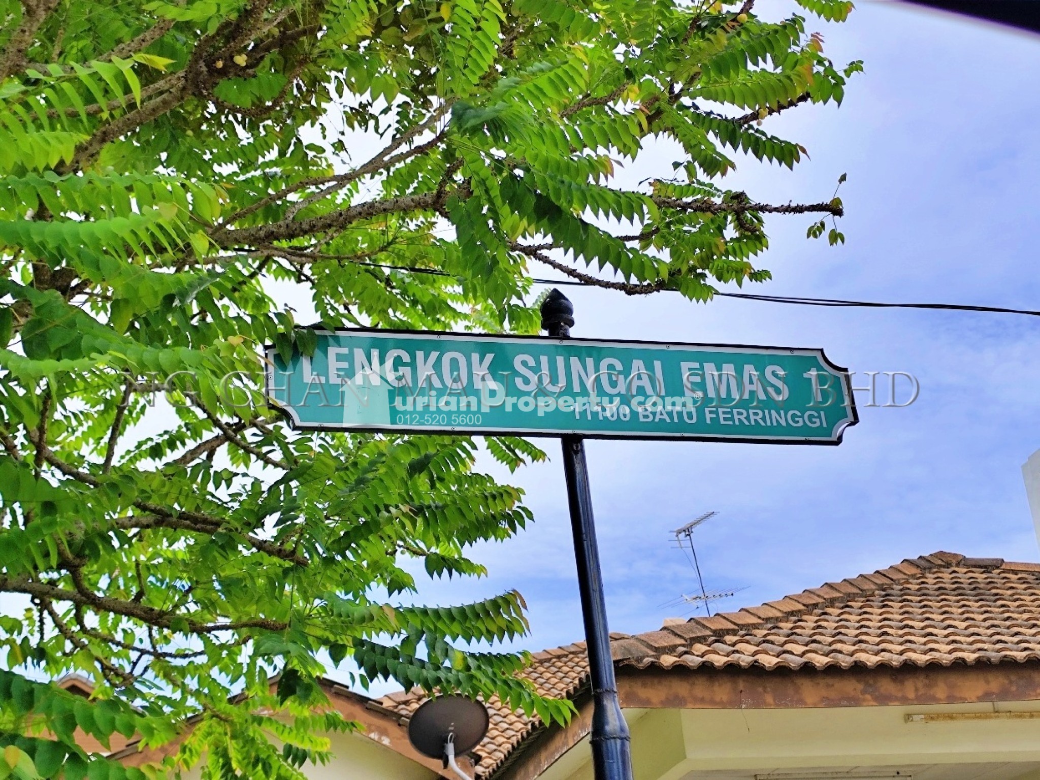 Semi D For Auction at Ferringhi Park