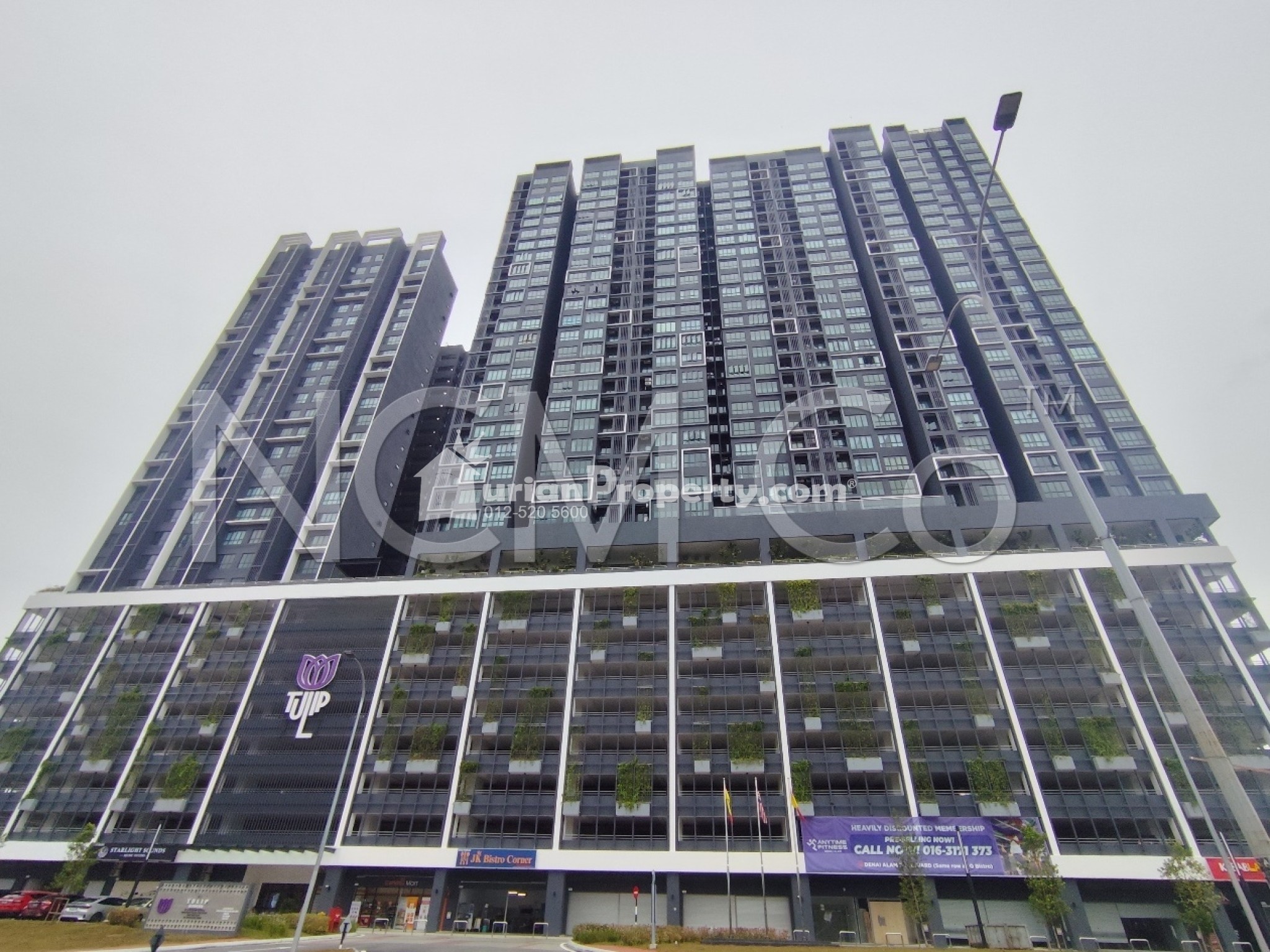 SOHO For Auction at Tulip Residence