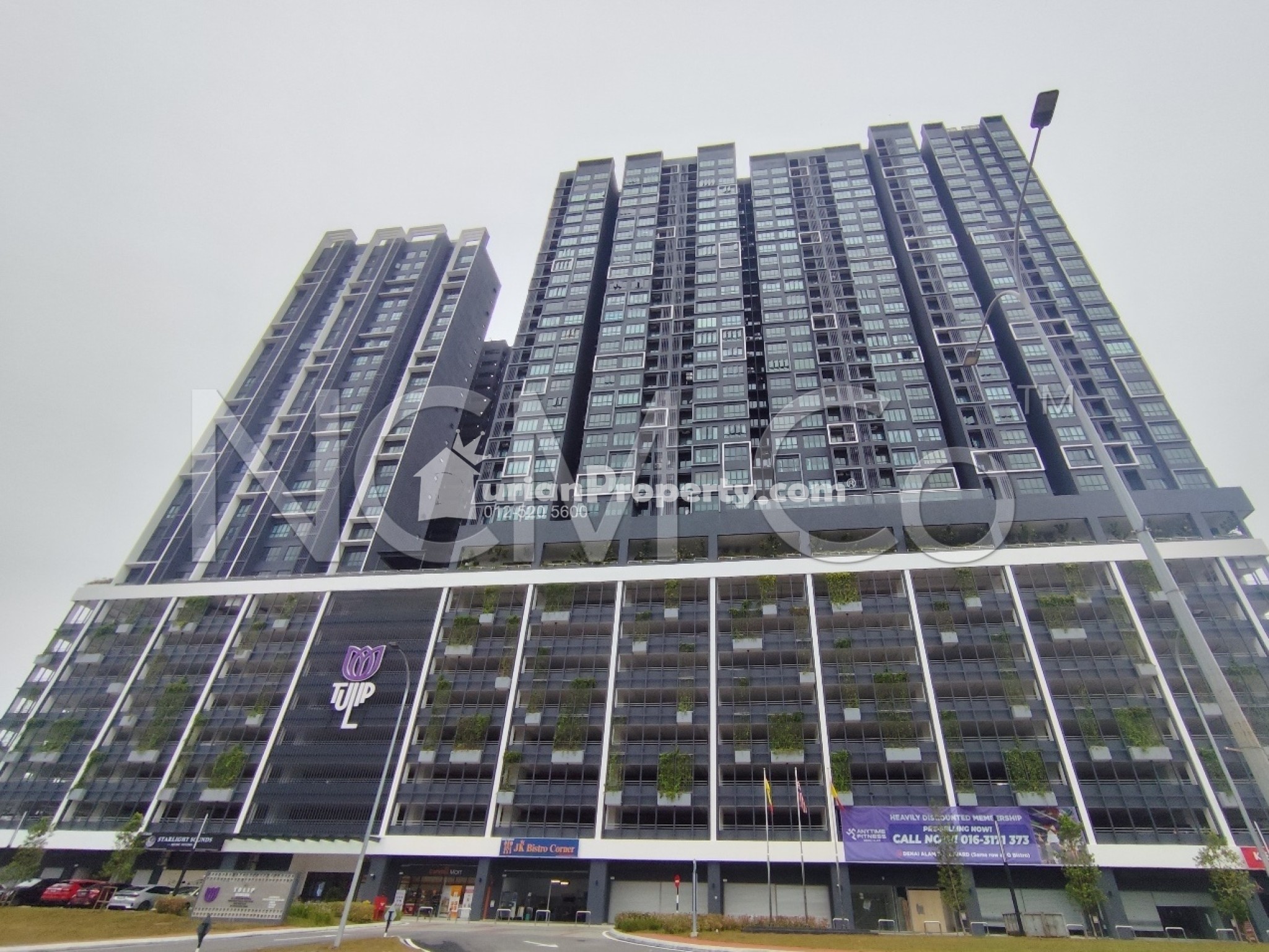 SOHO For Auction at Tulip Residence