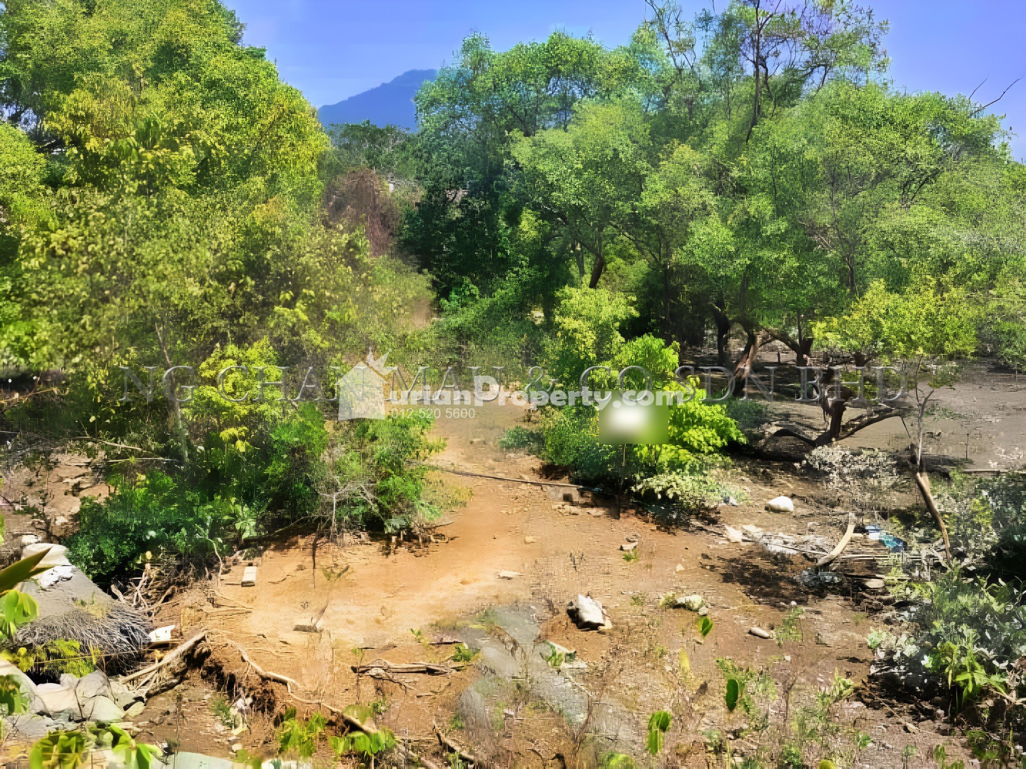 Agriculture Land For Auction at Kuah