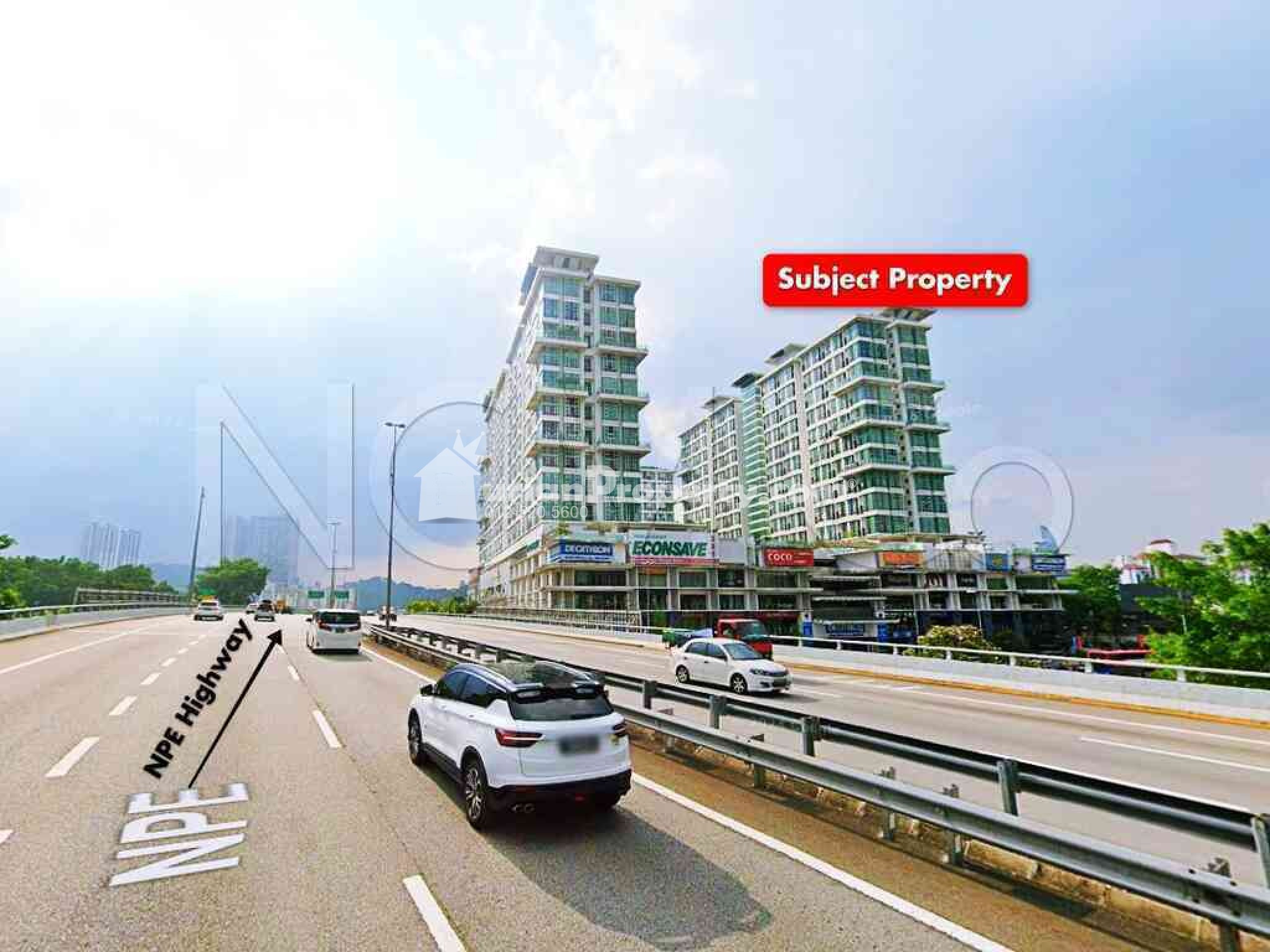 SOHO For Auction at The Scott Garden