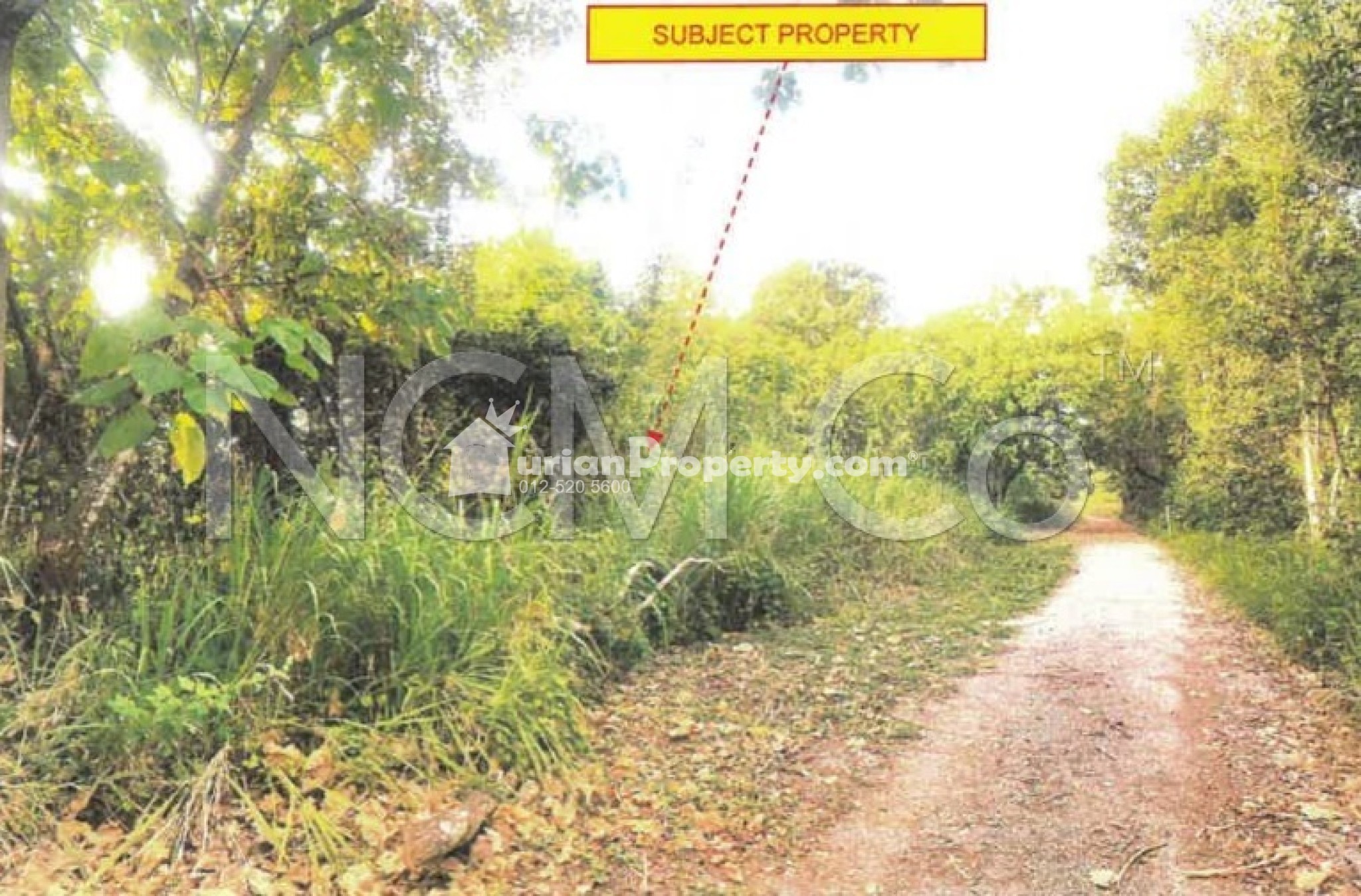 Residential Land For Auction at Taman Kempas