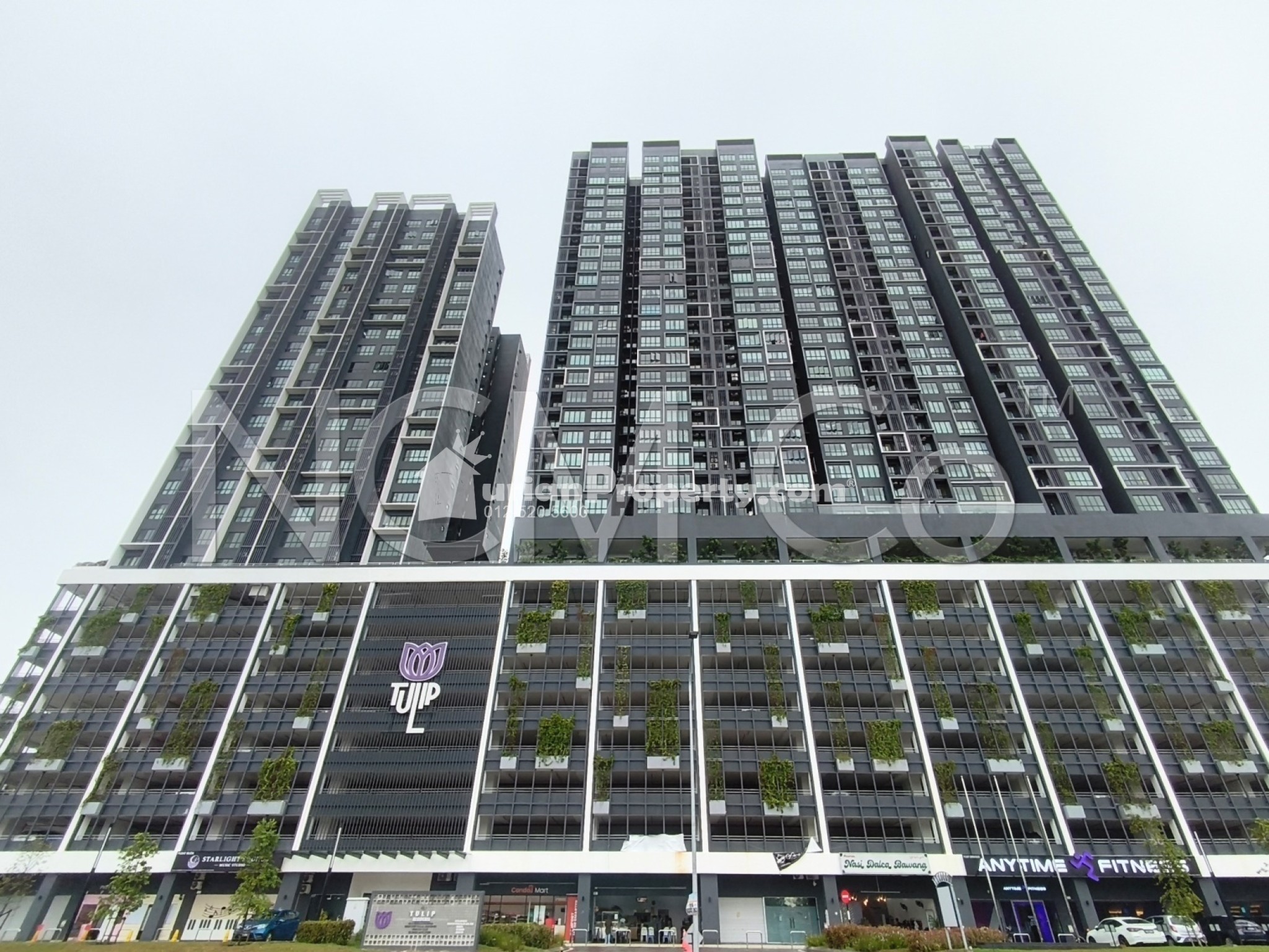 Serviced Residence For Auction at Tulip Residence