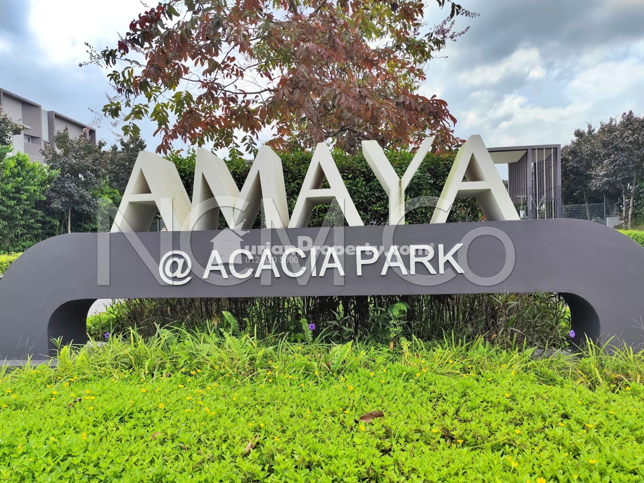 Terrace House For Auction at Acacia Park