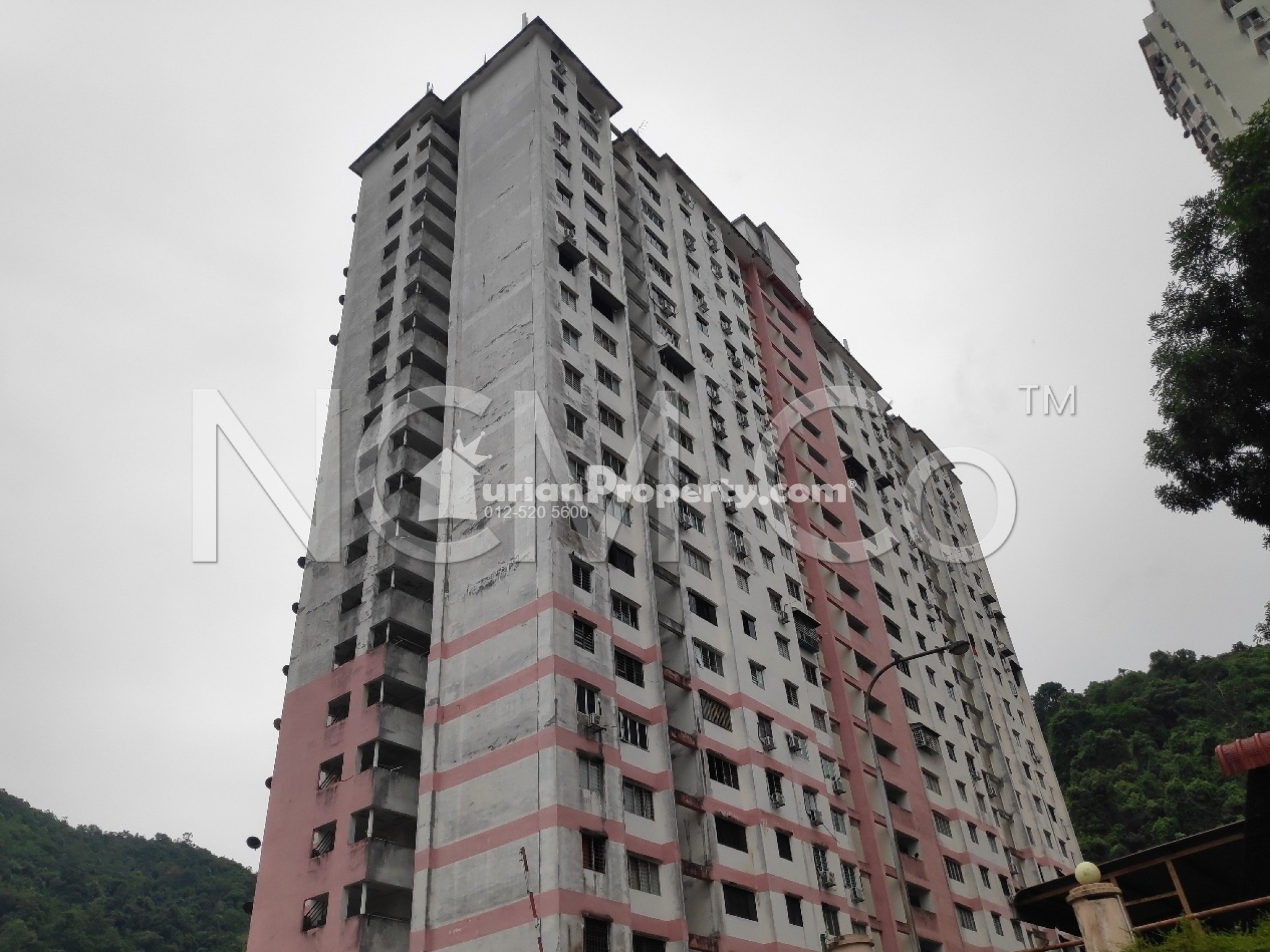Flat For Auction at Greenlane Heights