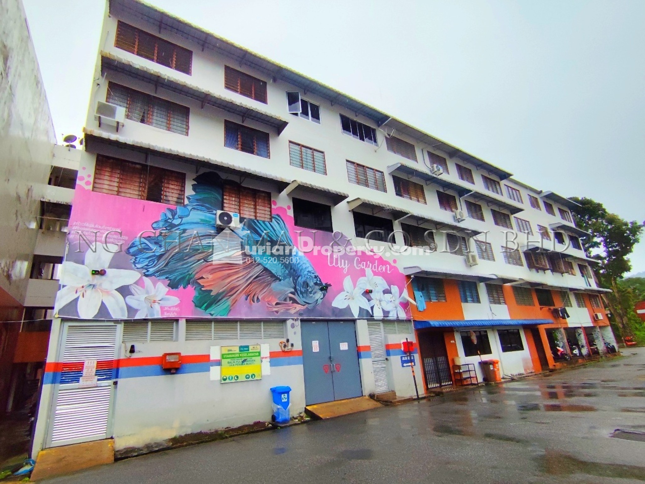Flat For Auction at Taman Balik Pulau Lily Flat