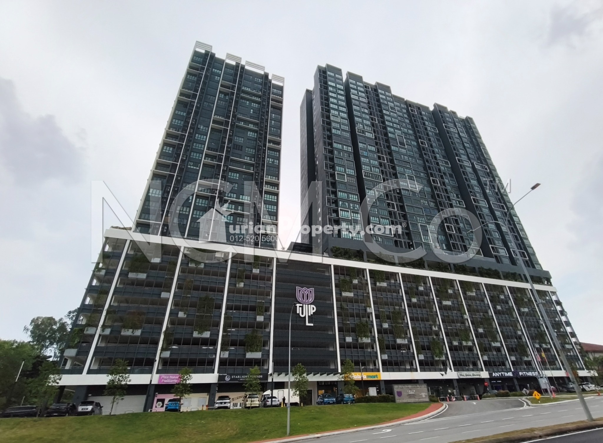 SOHO For Auction at Tulip Residence