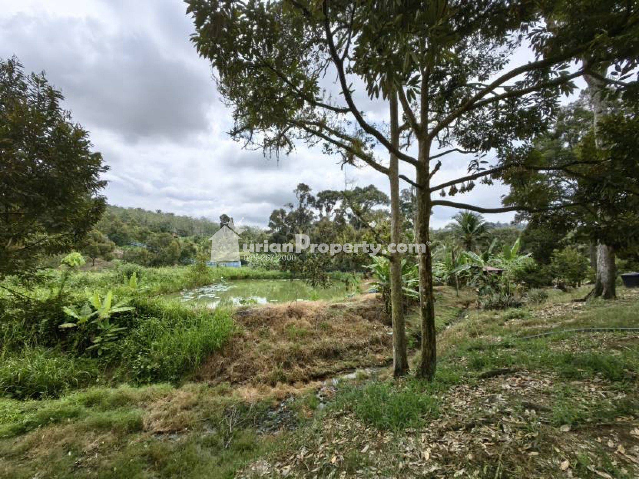 Agriculture Land For Sale at Chenor