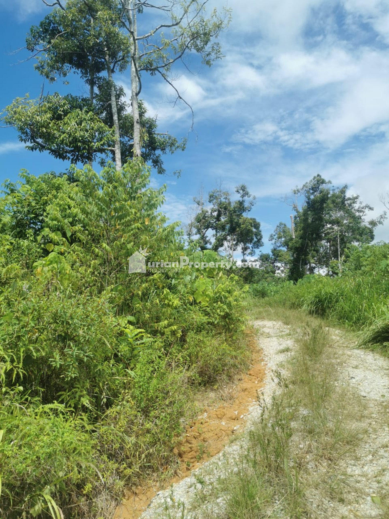 Agriculture Land For Sale at Raub