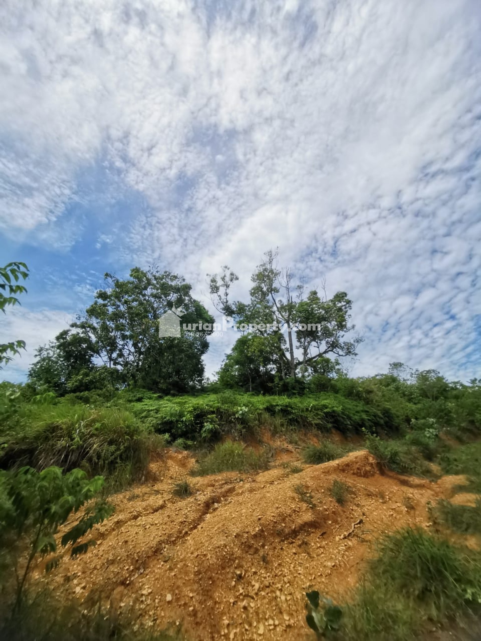 Agriculture Land For Sale at Raub