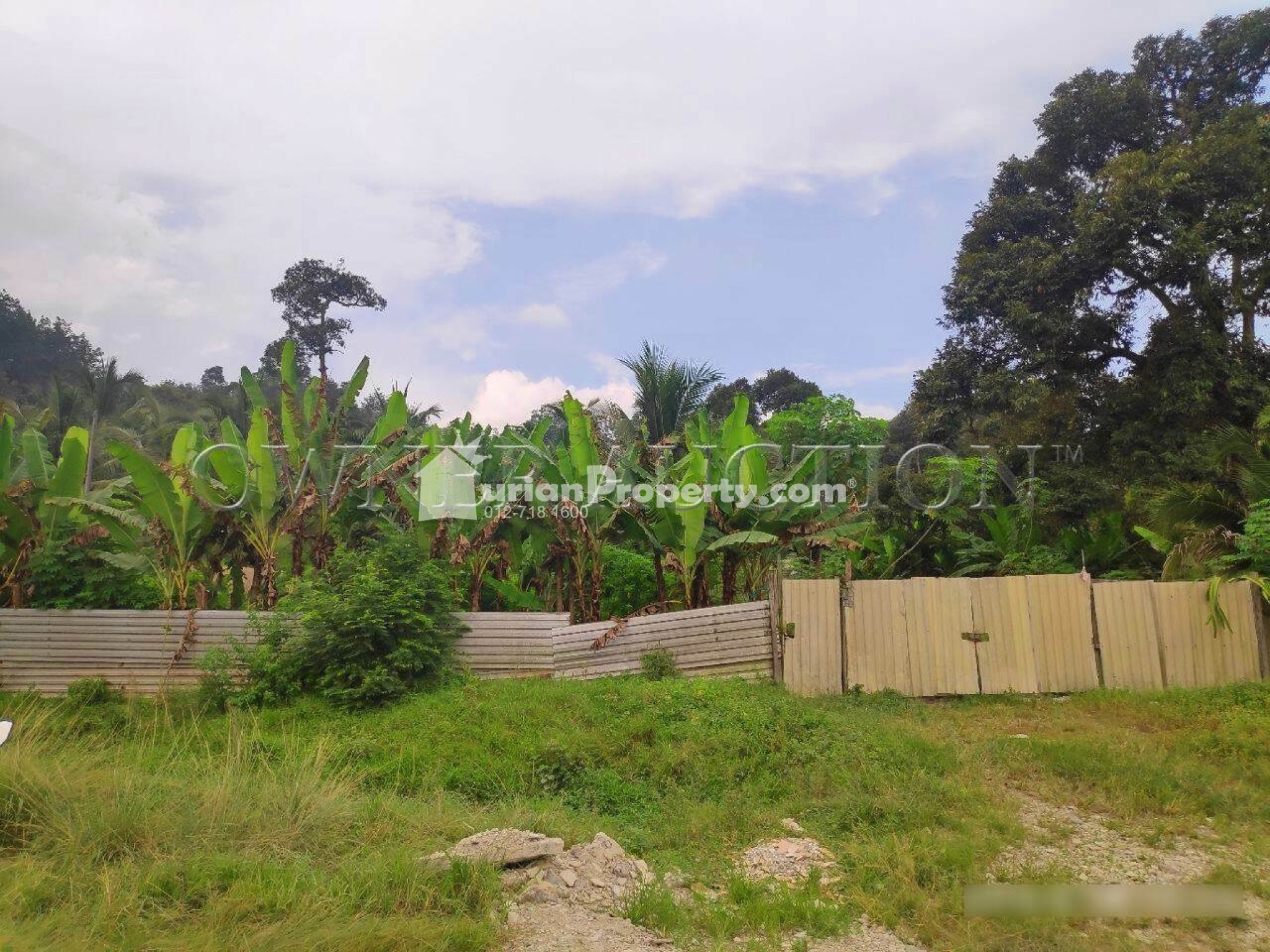 Agriculture Land For Auction at Sungai Lalang