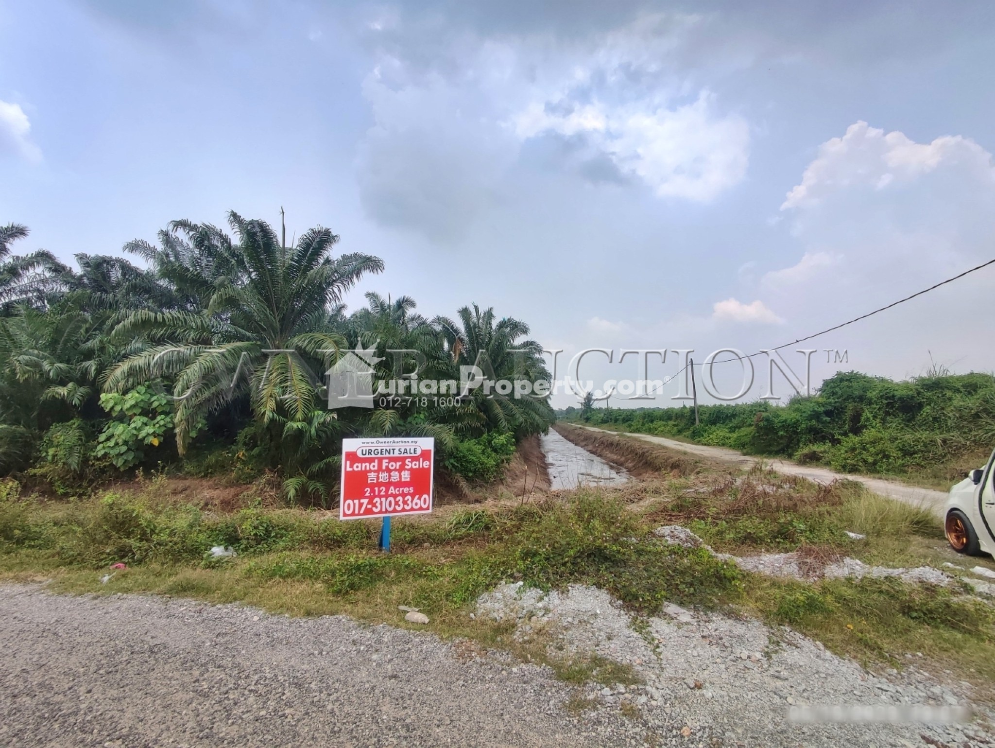 Agriculture Land For Auction at Telok Panglima Garang