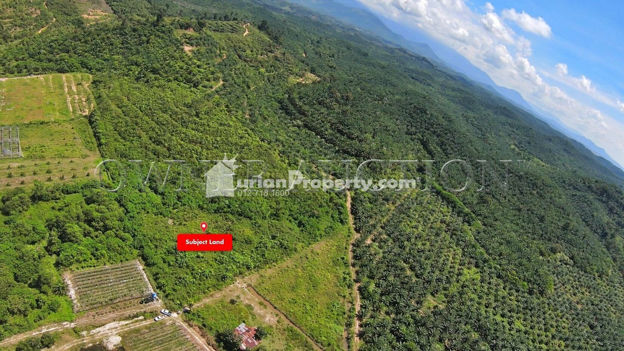 Agriculture Land For Auction at Raub