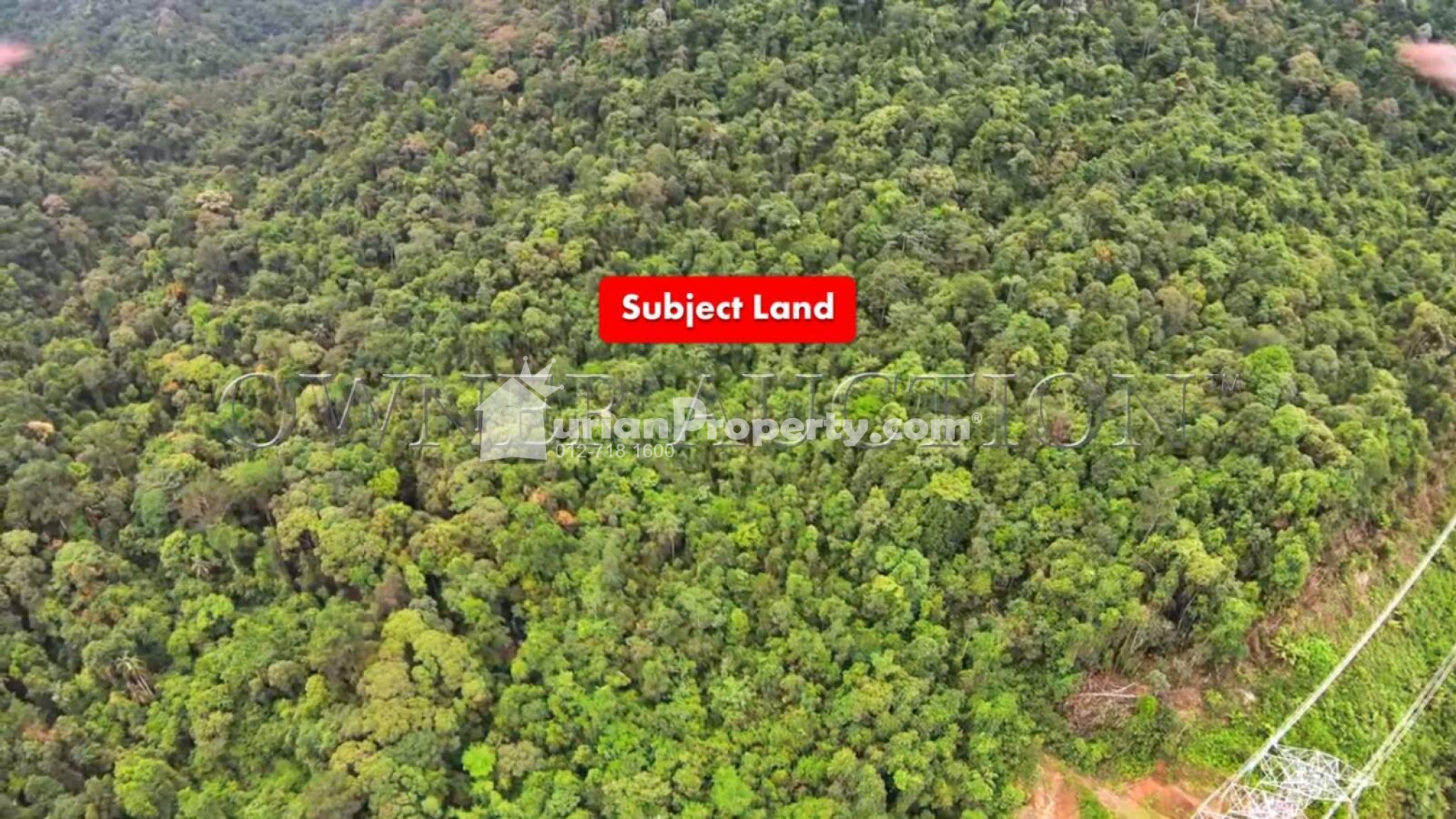 Agriculture Land For Auction at Kalumpang