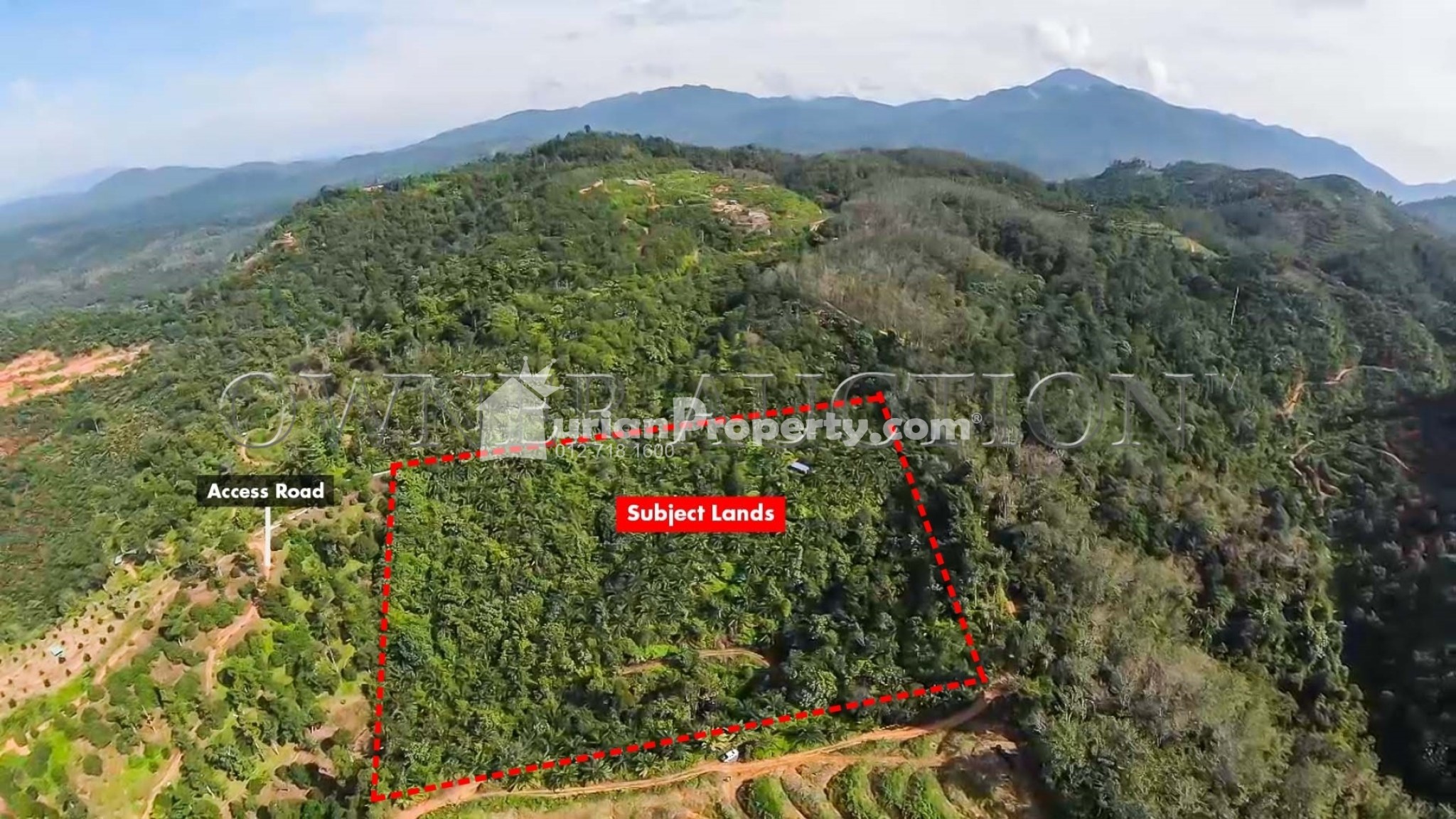 Agriculture Land For Auction at Batu Kurau