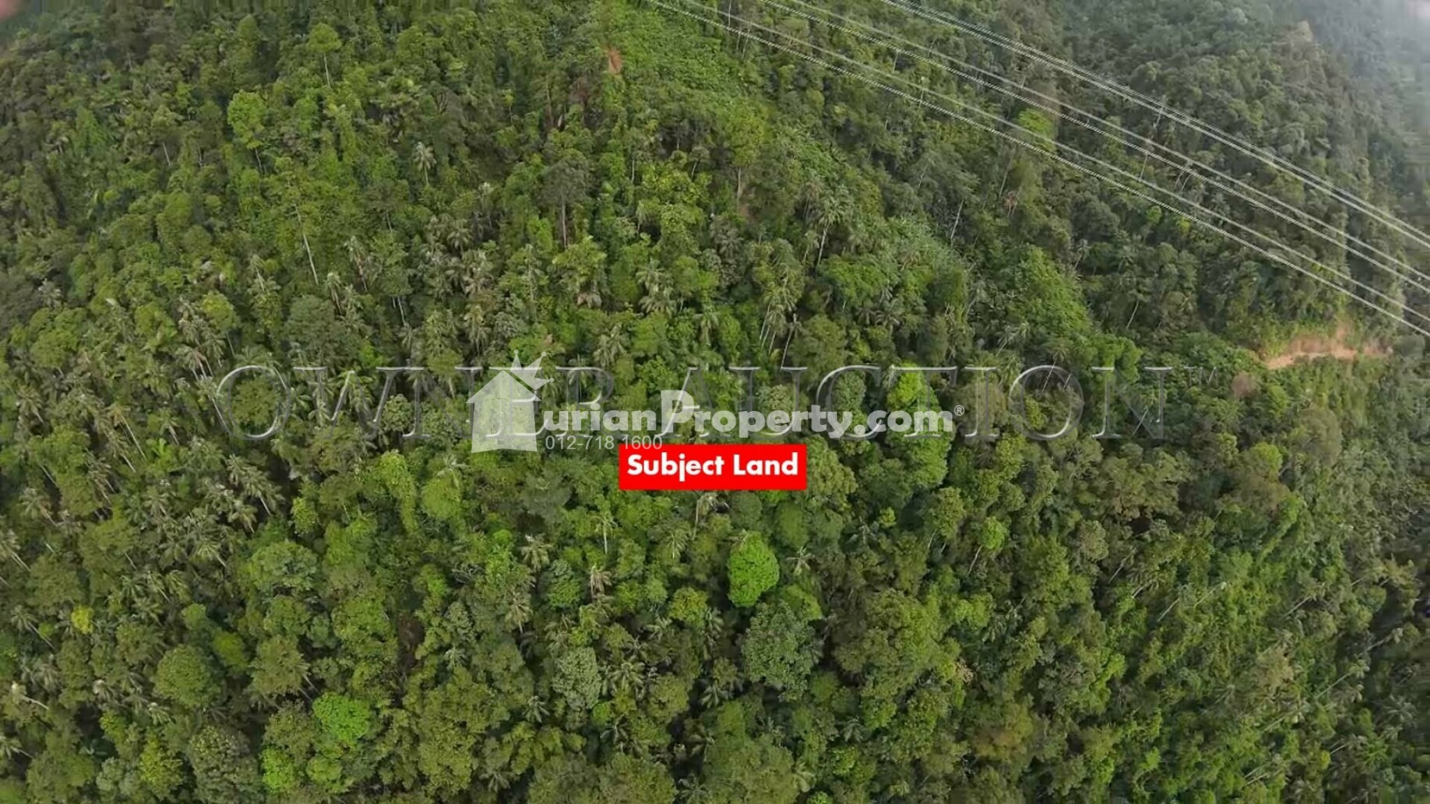 Agriculture Land For Auction at Kuala Kubu Baru